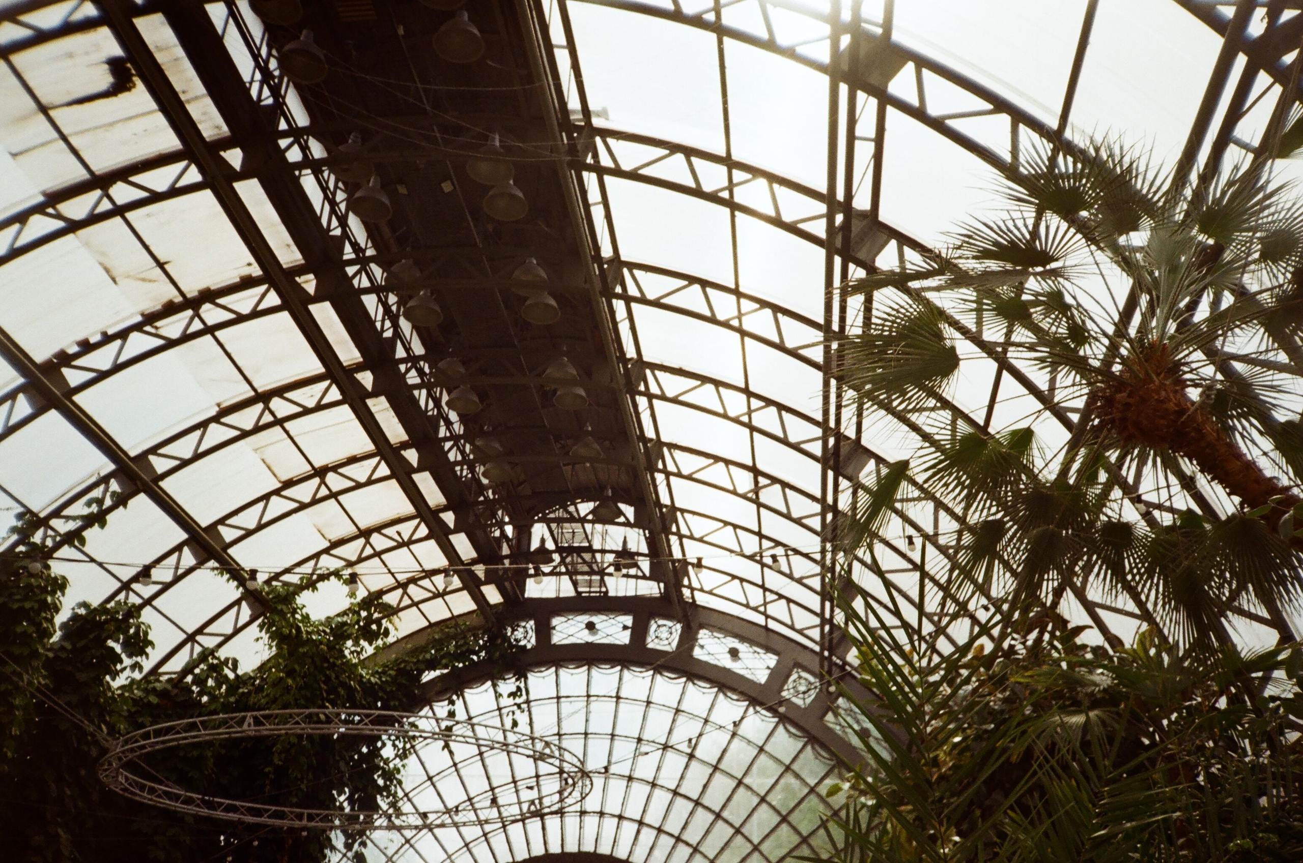 Пленка № 6. Фотограф Скворцова Дарья