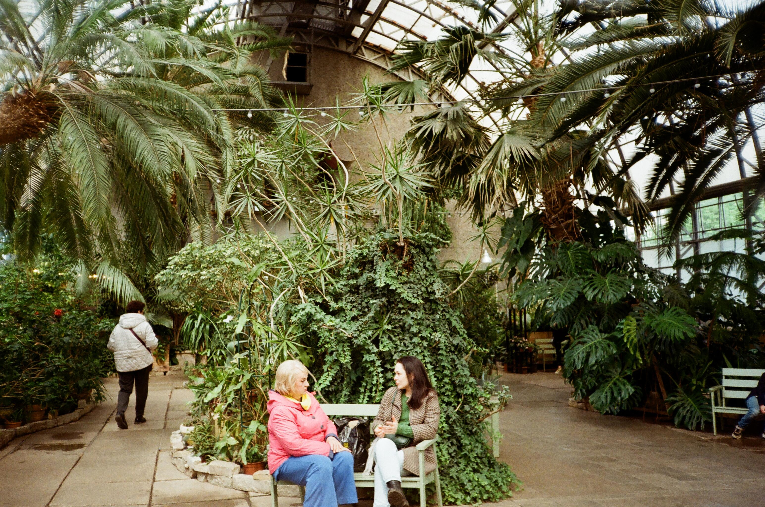 Пленка № 6. Фотограф Скворцова Дарья