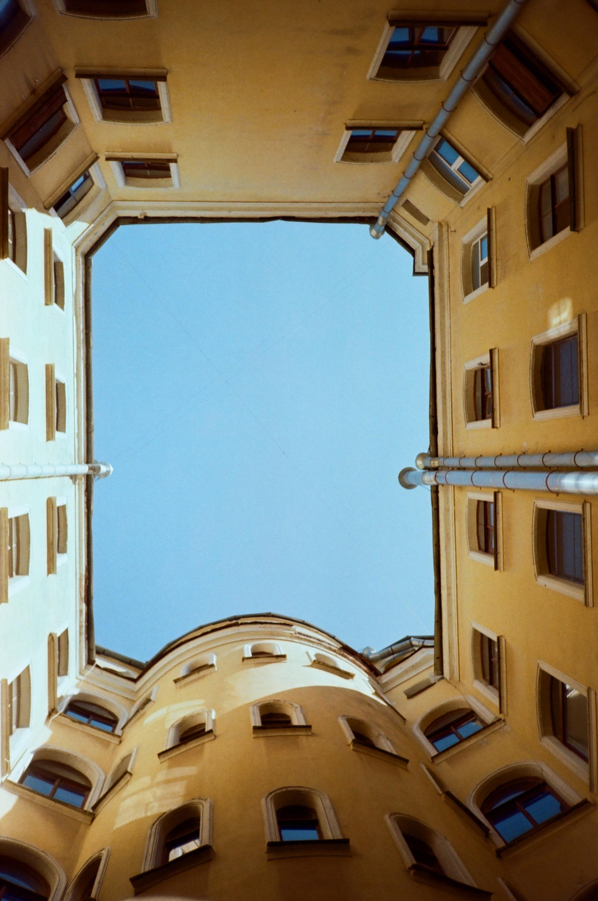 Пленка № 6. Фотограф Скворцова Дарья