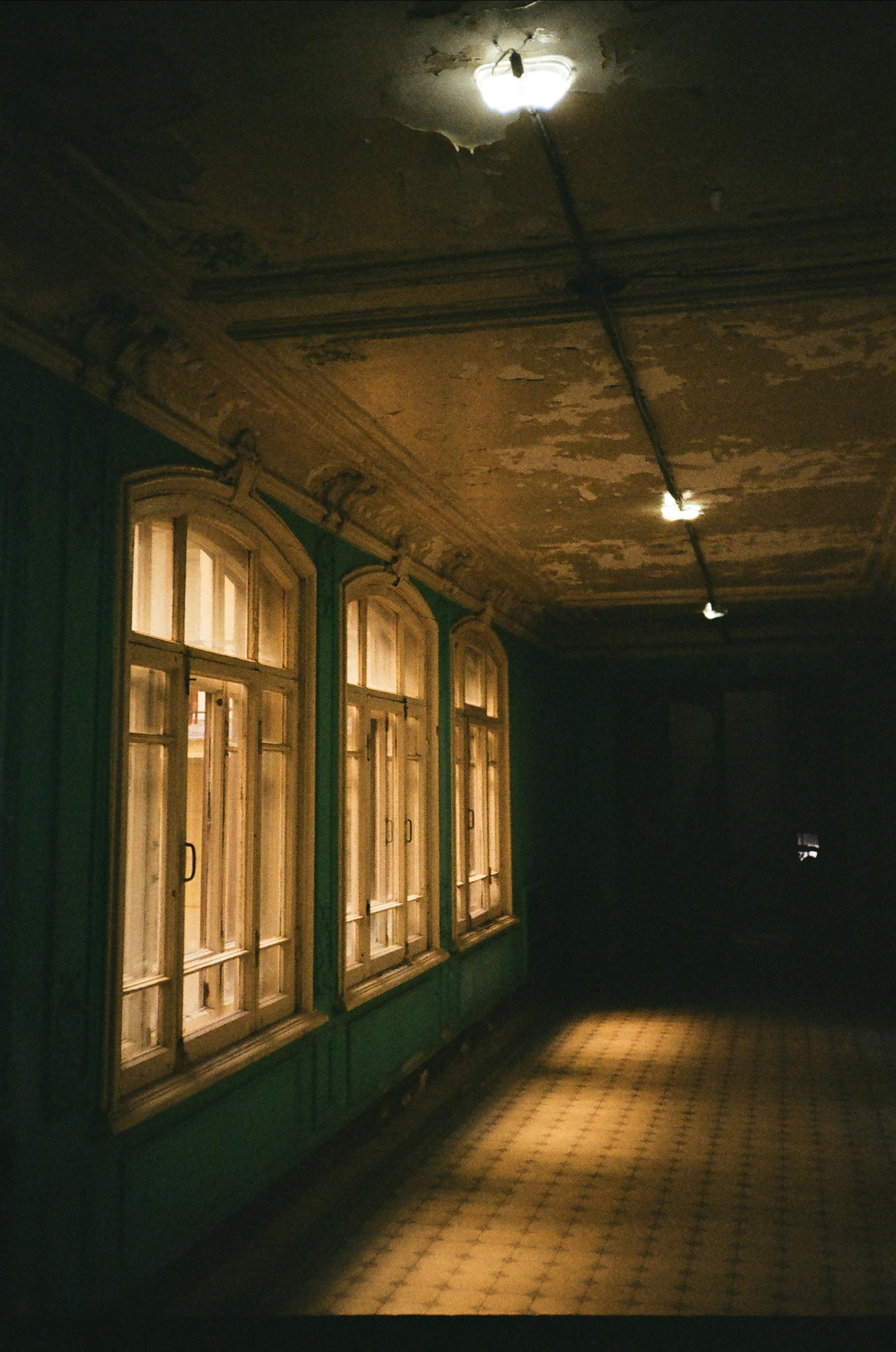 Пленка № 6. Фотограф Скворцова Дарья