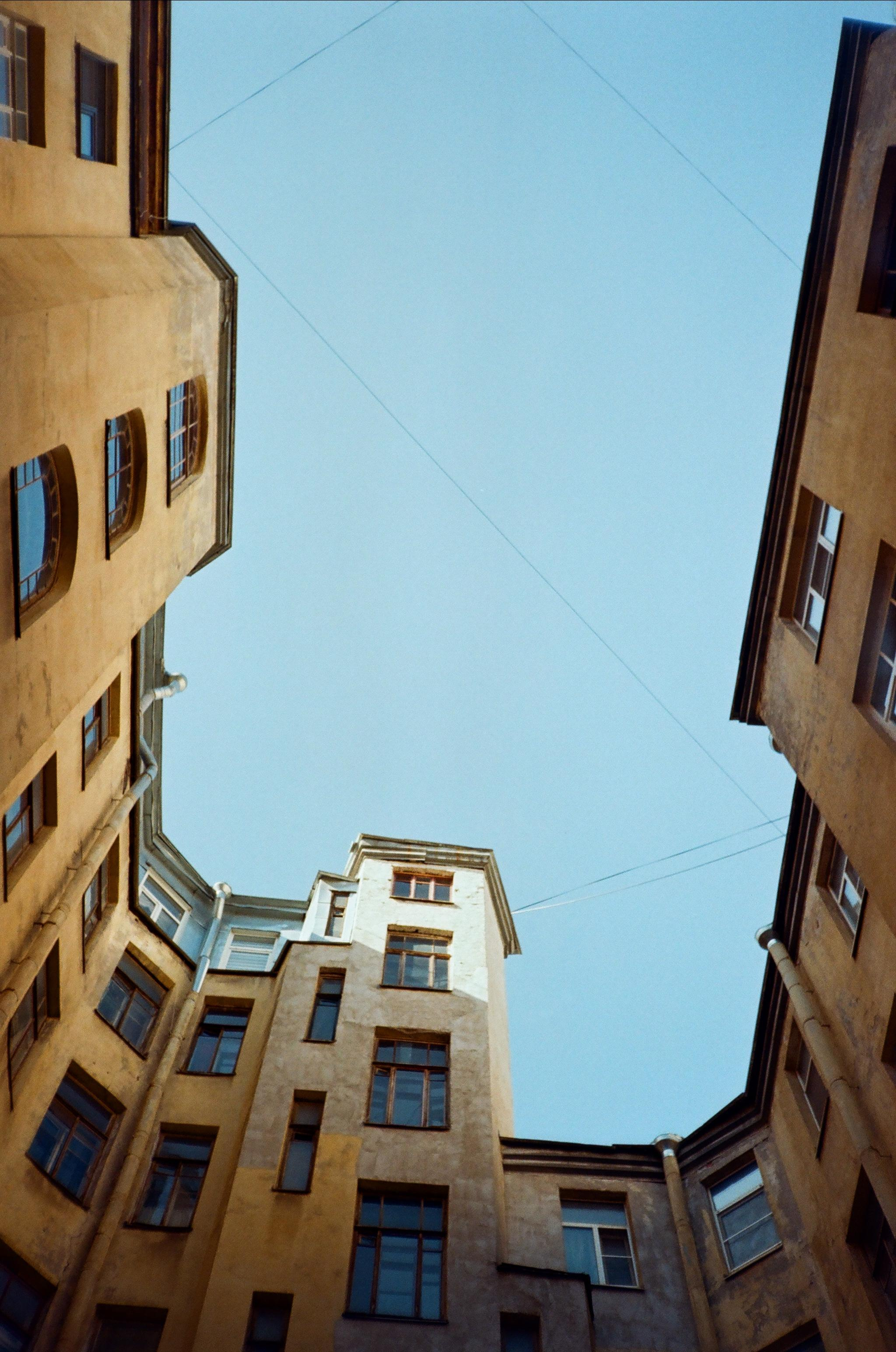 Пленка № 6. Фотограф Скворцова Дарья