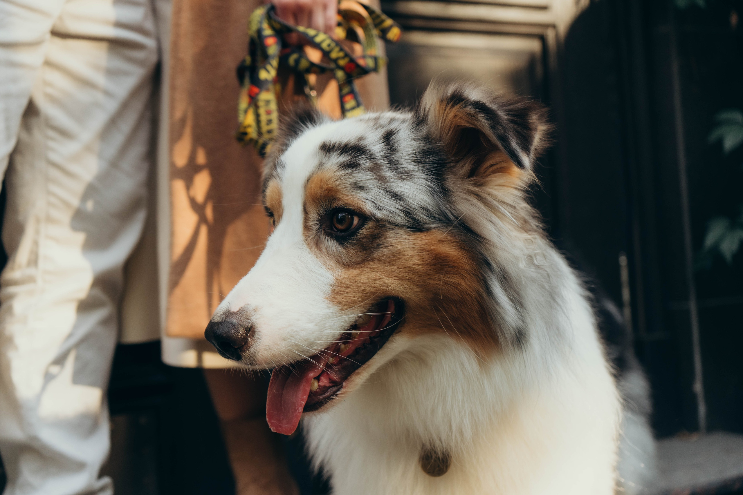 Аня, Влад и Джонни