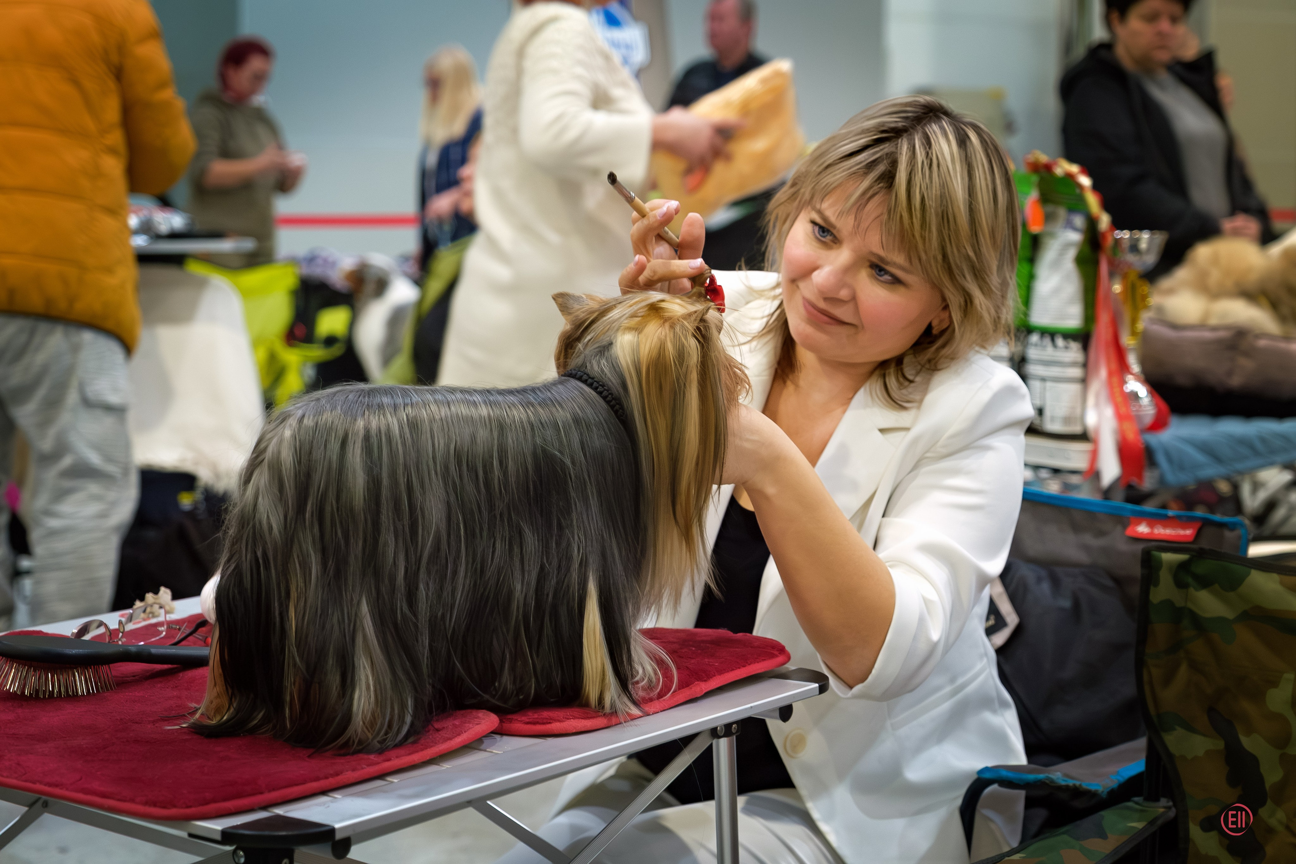 Друг человека. Фотограф в Москве