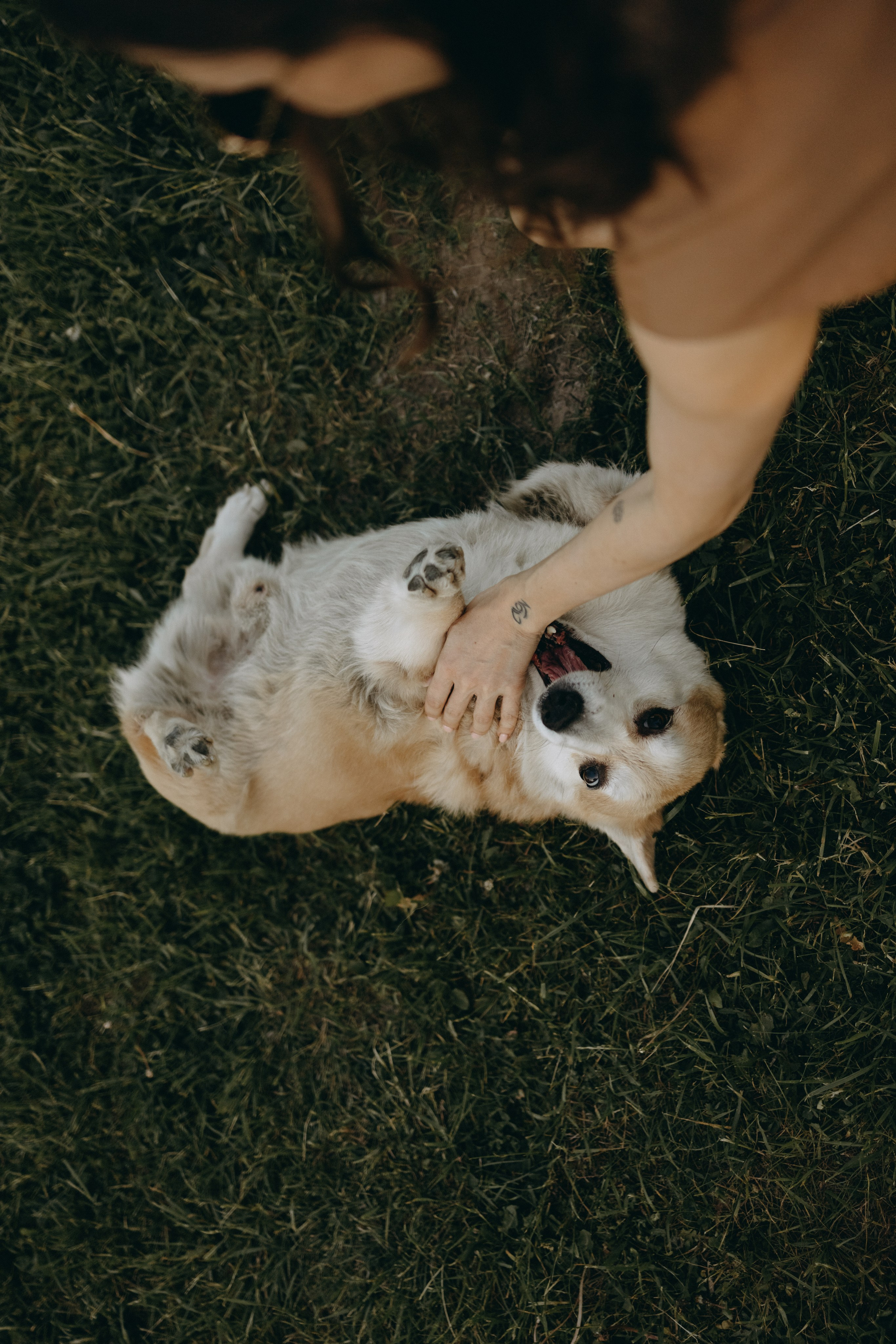 Кристина и Шелби. Фотограф — Анималист | Санкт-Петербург