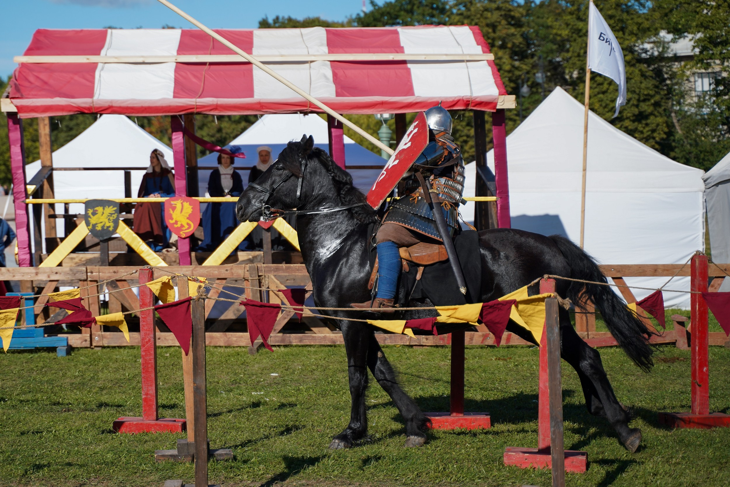 Рыцарский турнир в рамках фестиваля «Битва на Неве» Санкт-Петербург 2024 г. Фотограф-анималист, портретный фотограф в Чебоксарах Мария Садыкова