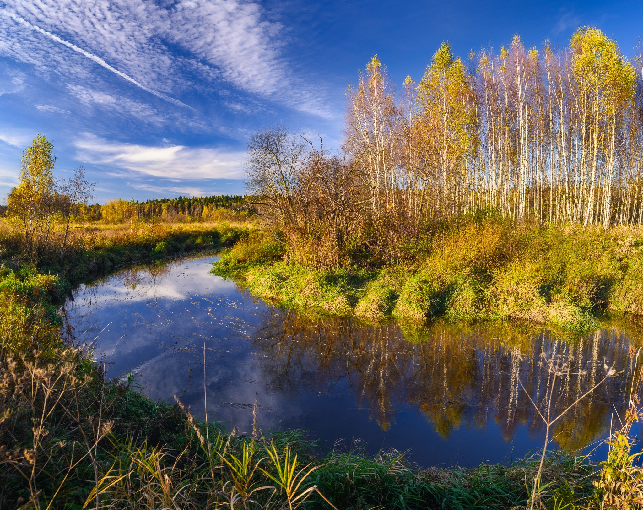 Ясный осенний день. Берёзовая роща на берегу Клязьмы.