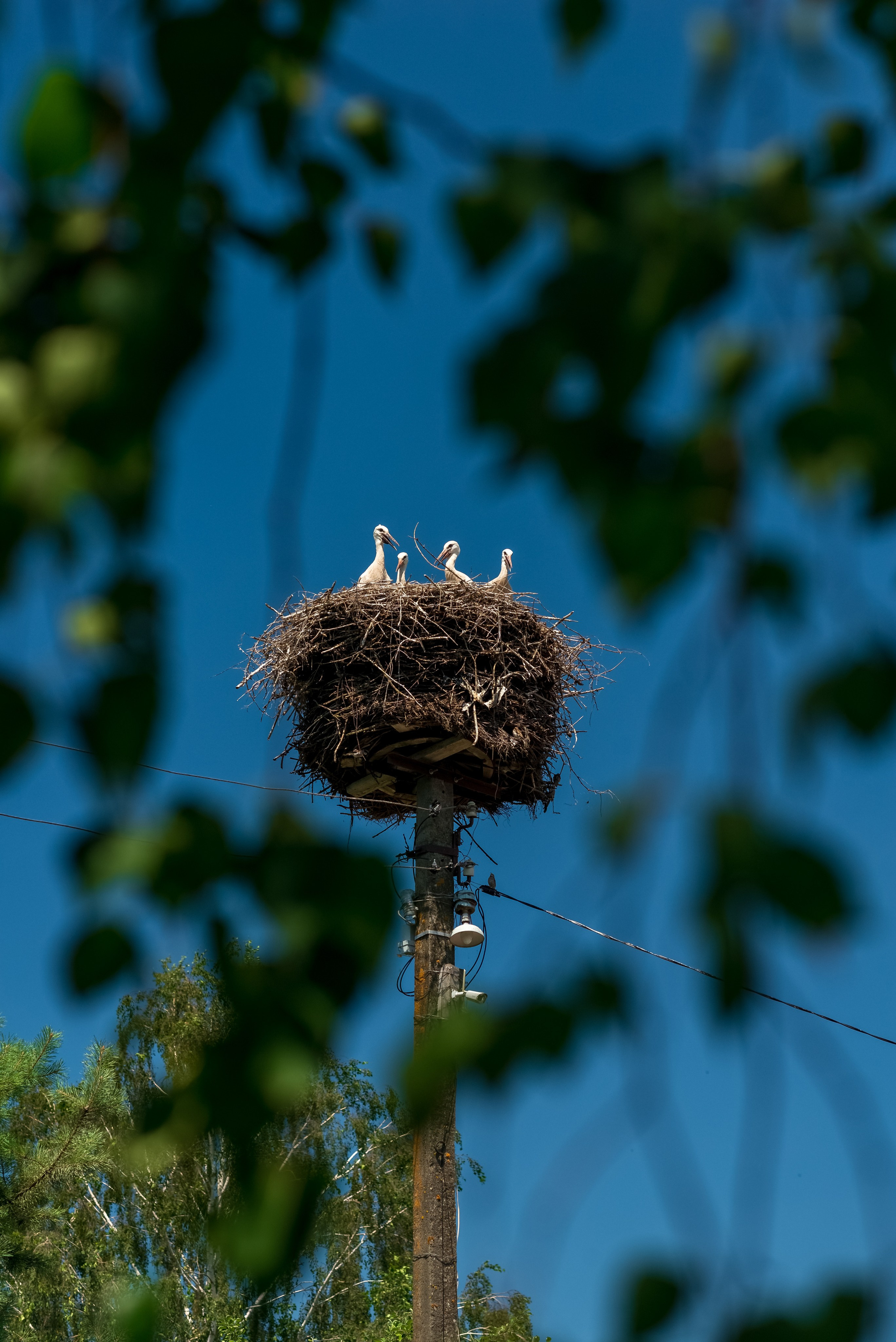 Деревня Барышье. Женский фотограф Крещение Венчание Москва Брянск