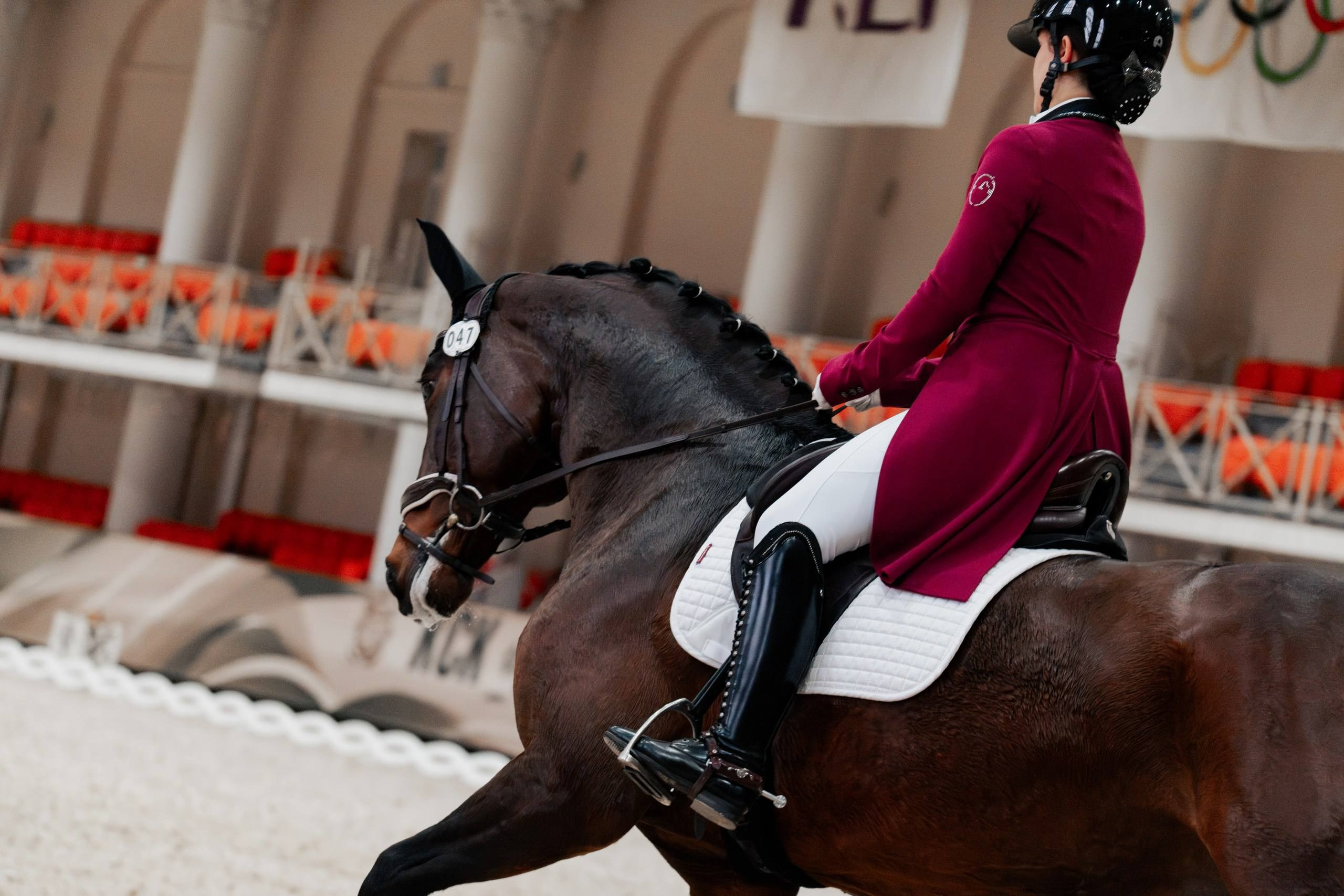 МЕЖДУНАРОДНЫЕ СОРЕВНОВАНИЯ по ВЫЕЗДКЕ КСК «Виват, Россия!». Куракина Дарья • Конный фотограф