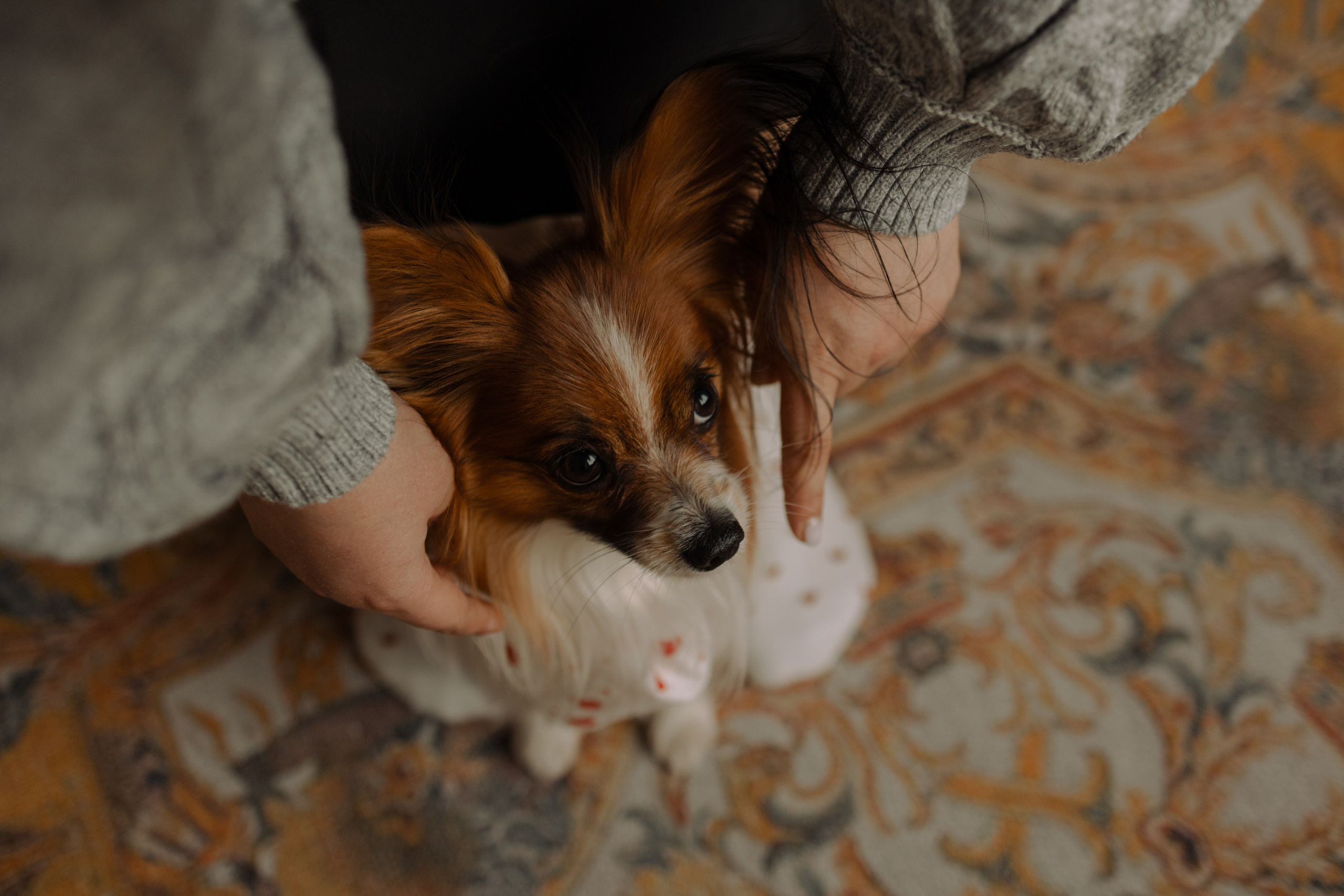 Женя и Брю. Фотограф — Анималист | Санкт-Петербург