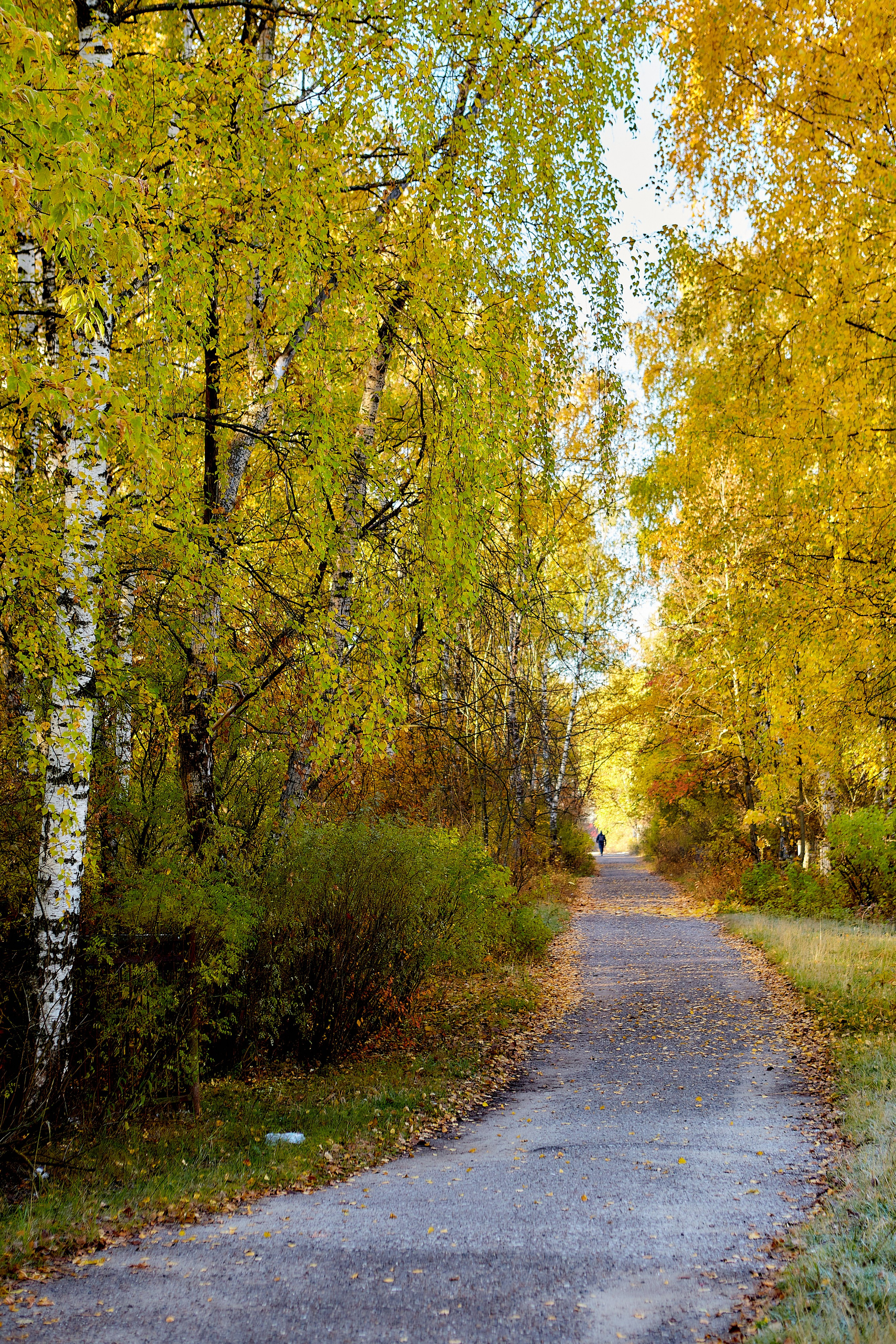 Фотографии природы