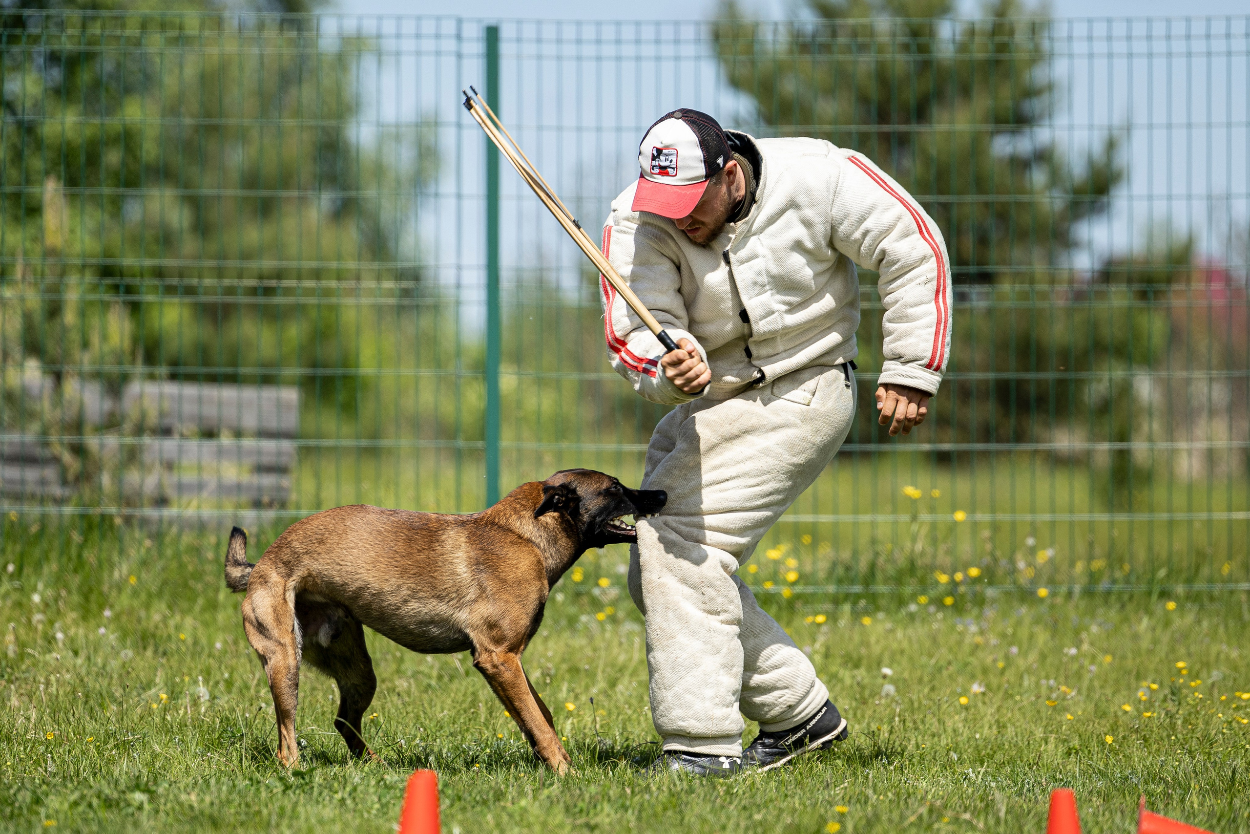 Испытания по мондьорингу в Нижнем Новгороде. Фотограф-анималист Анна Маринич