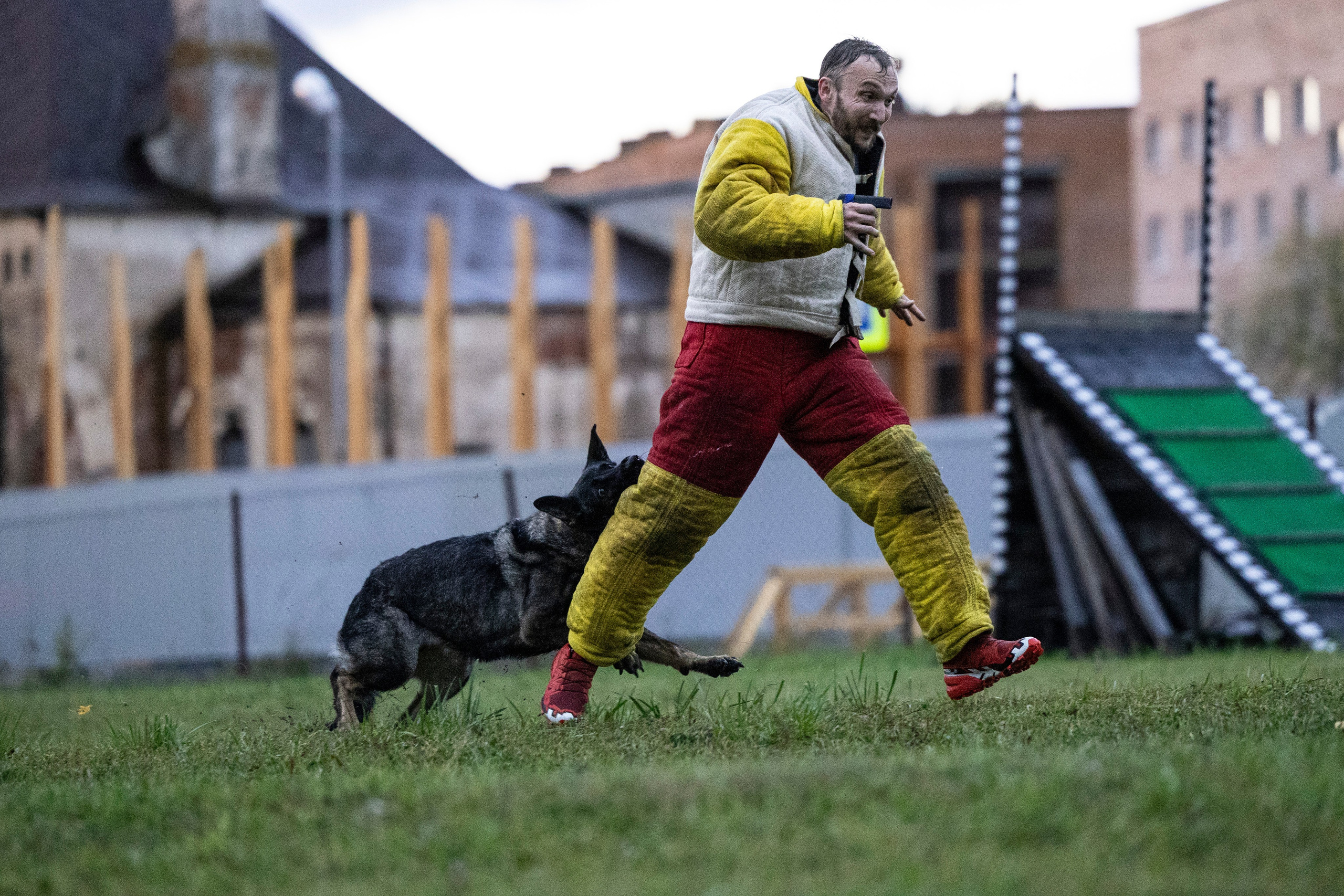 Испытания по Мондьорингу г. Пушкин. Фотограф-анималист Анна Маринич