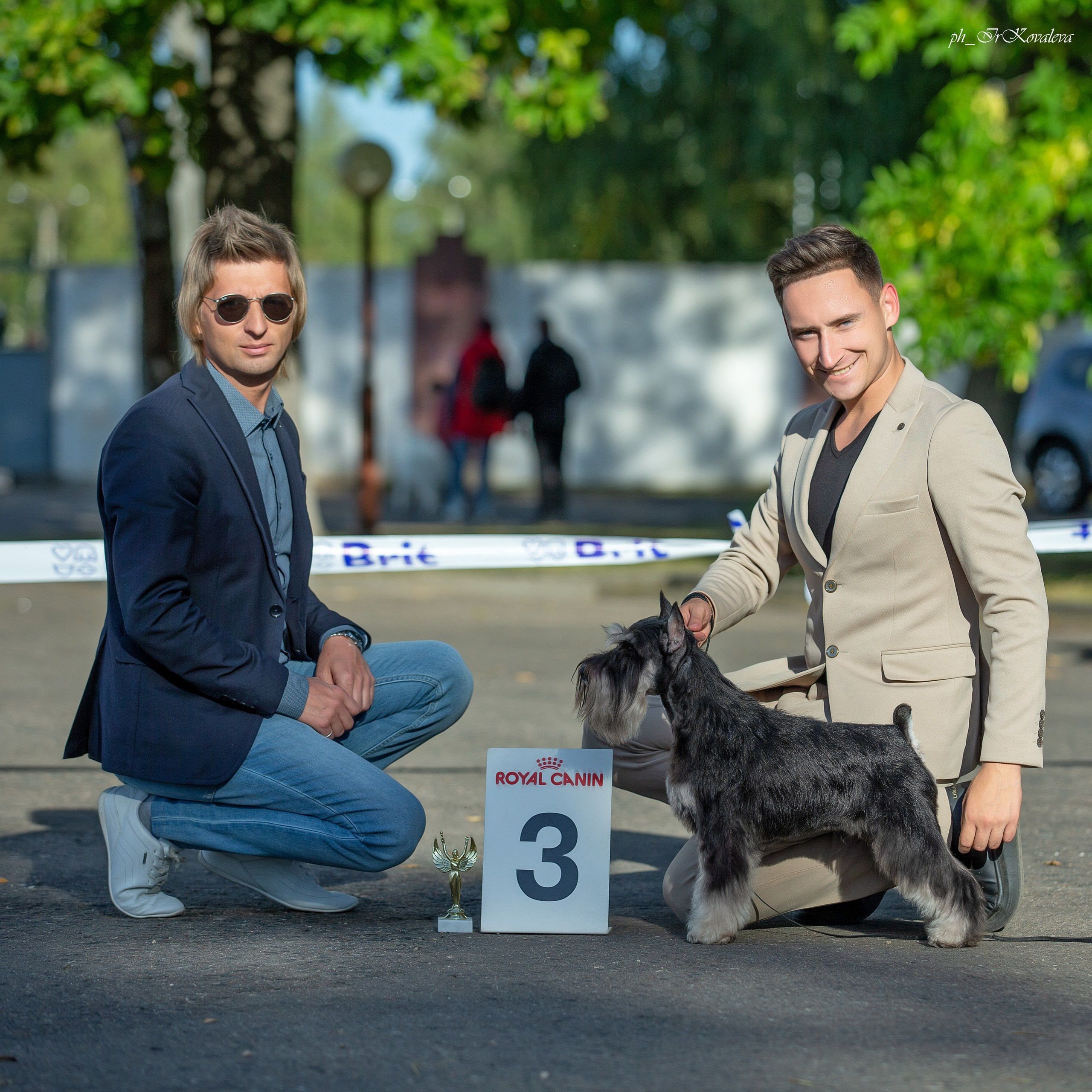 Оскар/Delinso Balance Zaffiro. Питомник цвергшнауцеров в Беларуси «Делинсо Бэлэнс»