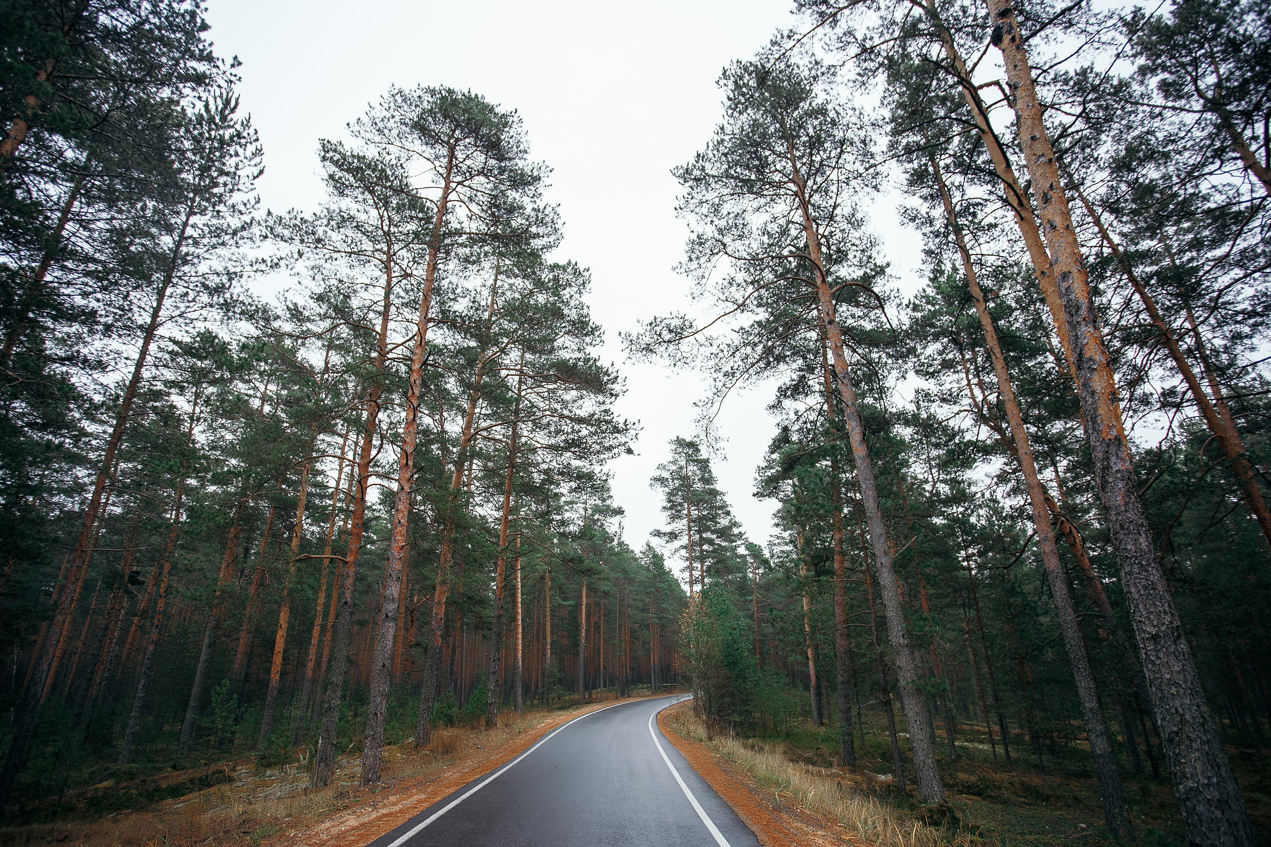 Михаил & Дарья. Свадебный и семейный фотограф в Твери, Москве, Санкт-Петербурге