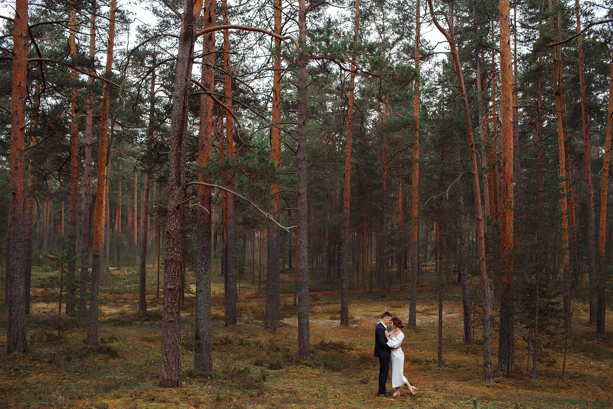 Михаил & Дарья. Свадебный и семейный фотограф в Твери, Москве, Санкт-Петербурге