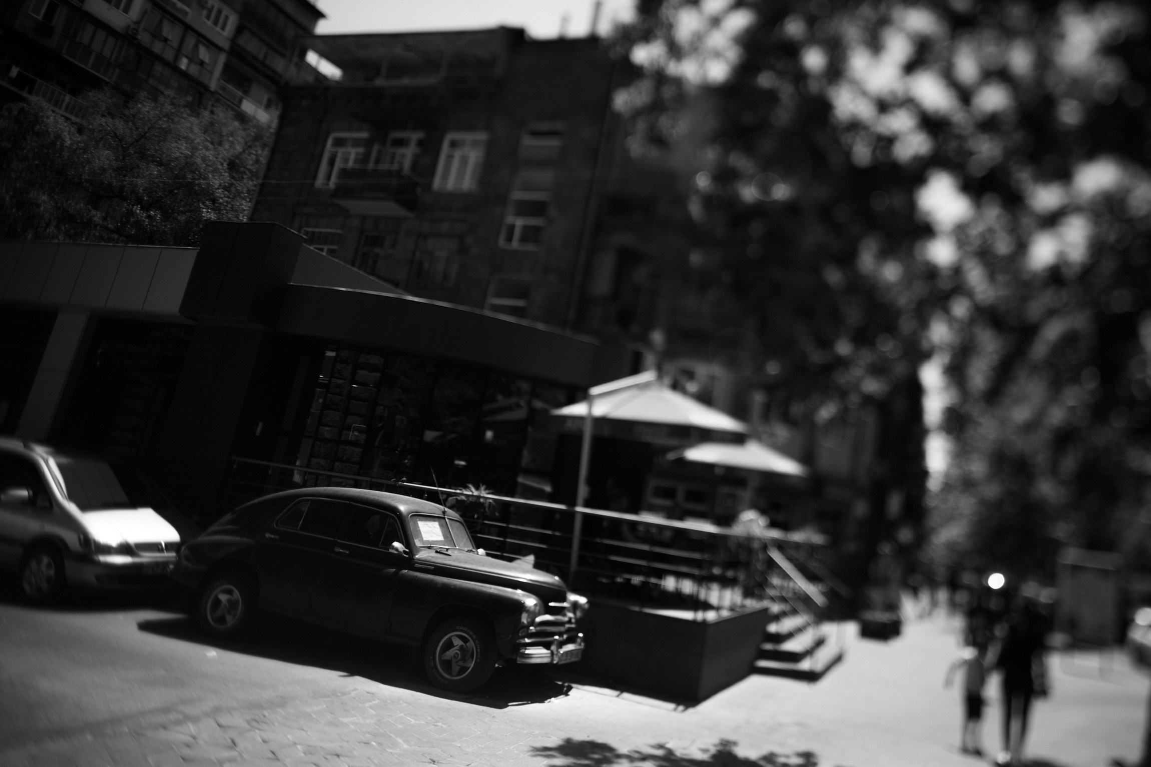 Lifestyle. Bivol images