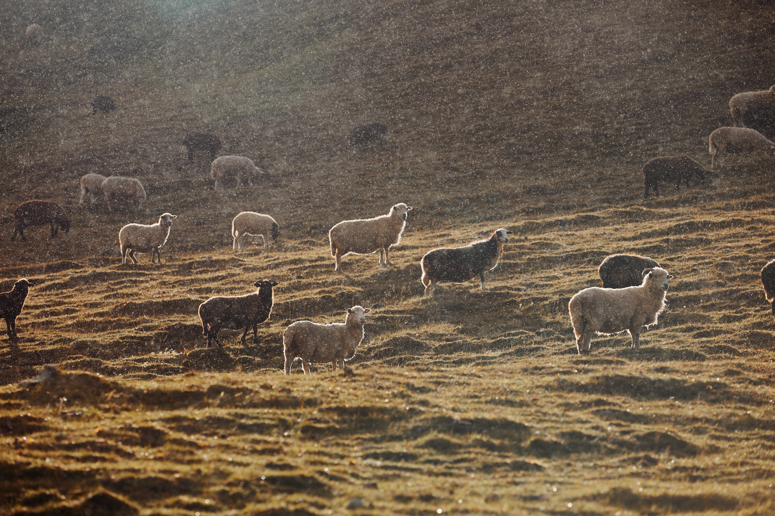 Озеро Гийбашкель. Фотограф Продюсер в горах КБР / Москва  Нальчик Горы