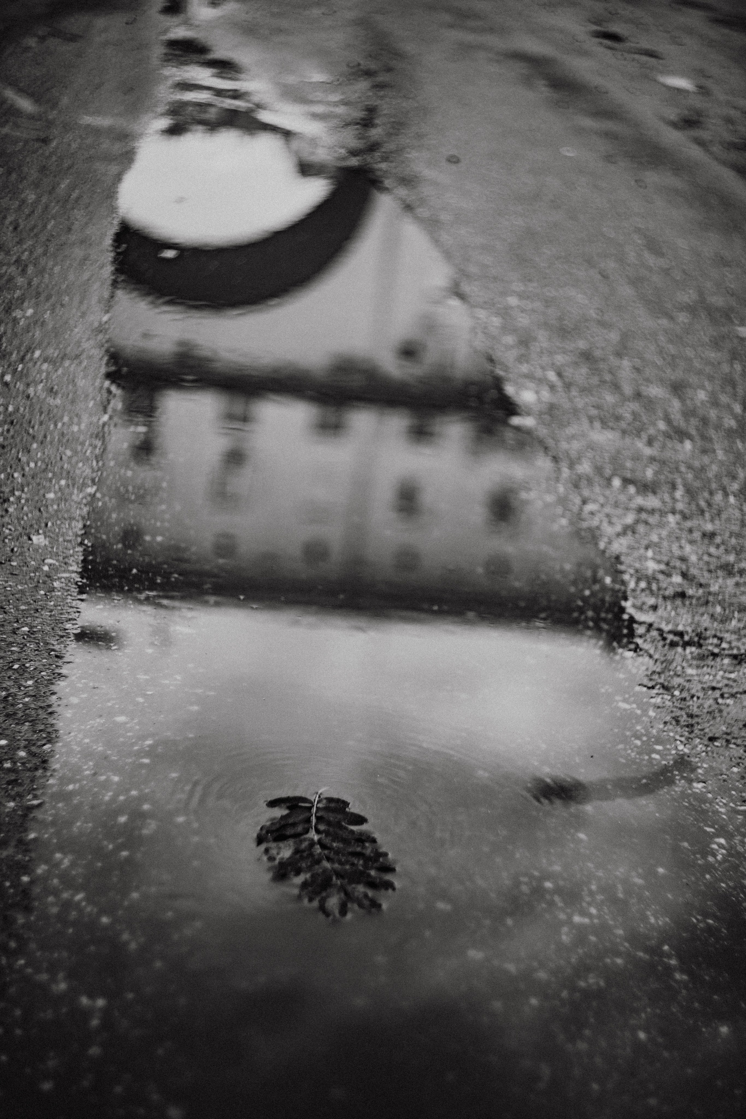 Влада на Автозаводе. Фотограф в Нижнем Новгороде