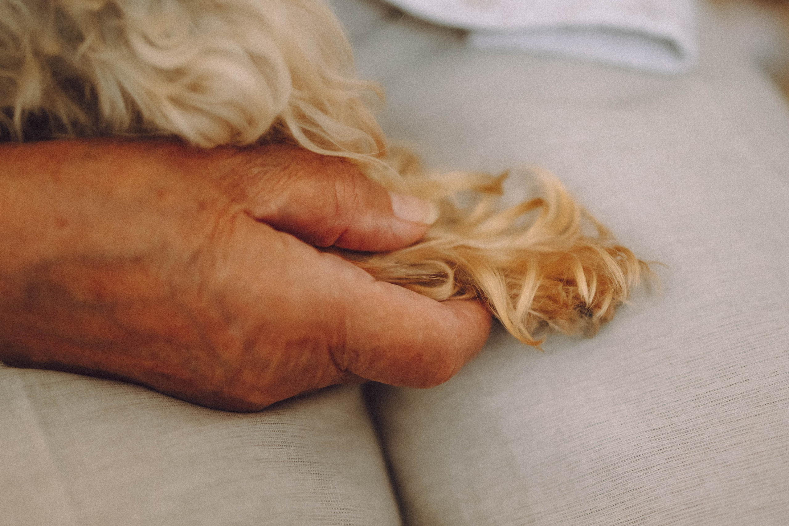 Дэзи и ее семья