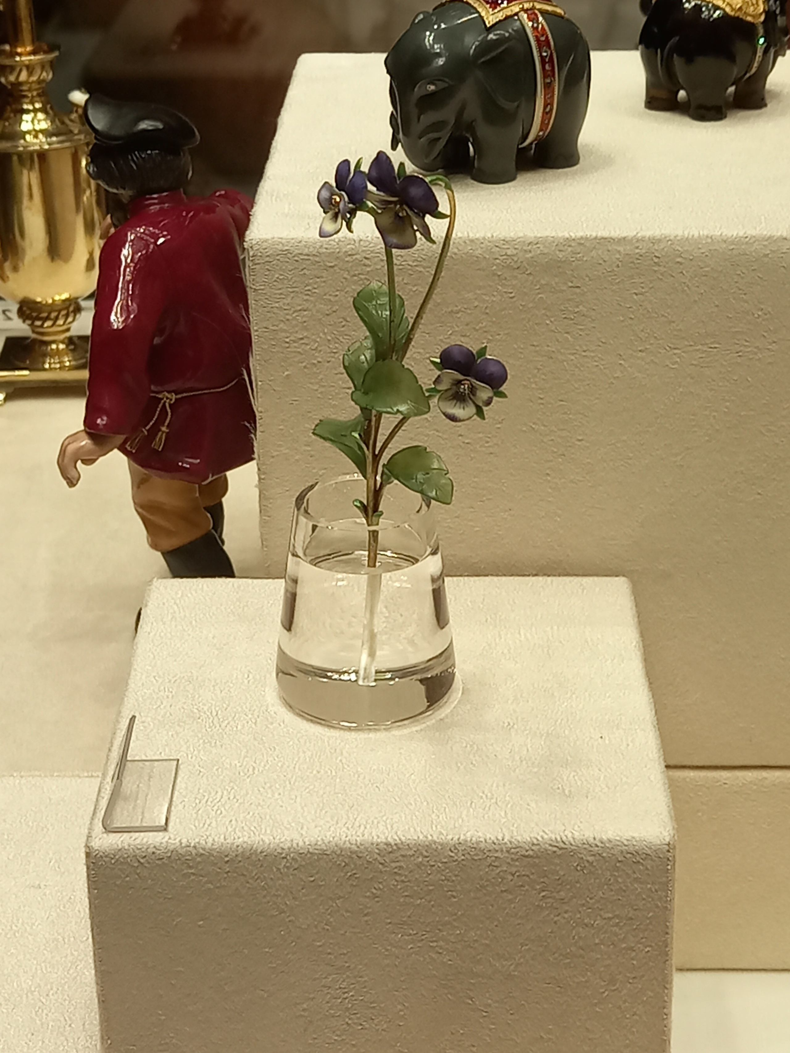 Анютины глазки Pansy flower