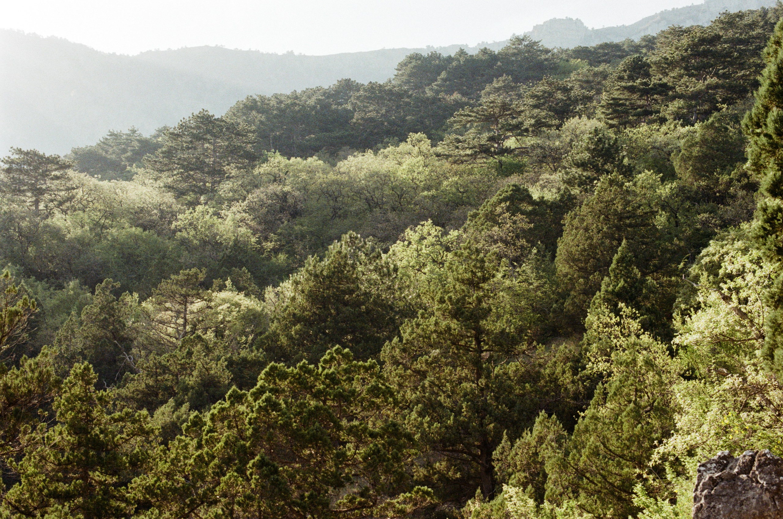 Silver strings // ukraine, crimea II. EVER EXPOSED