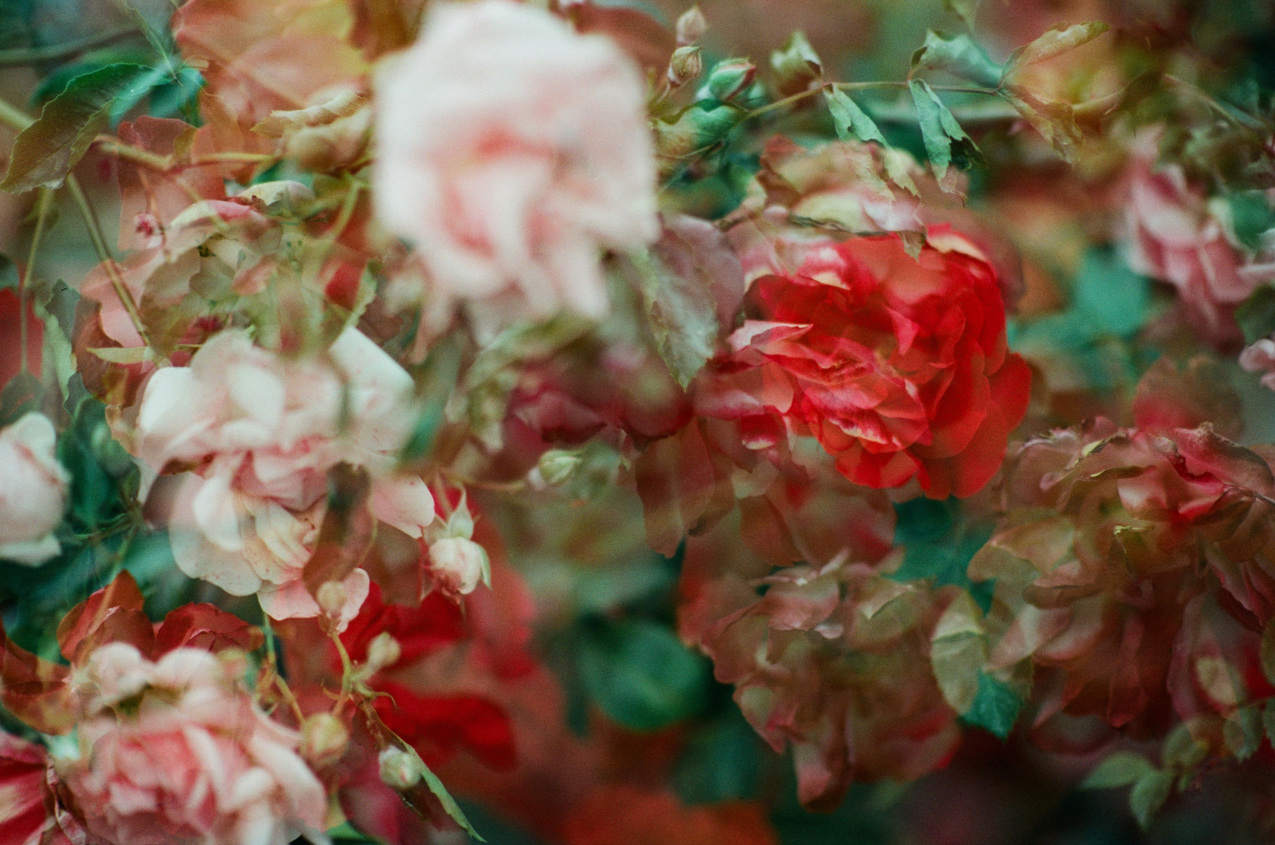 Pain shopping // ukraine, crimea V. EVER EXPOSED