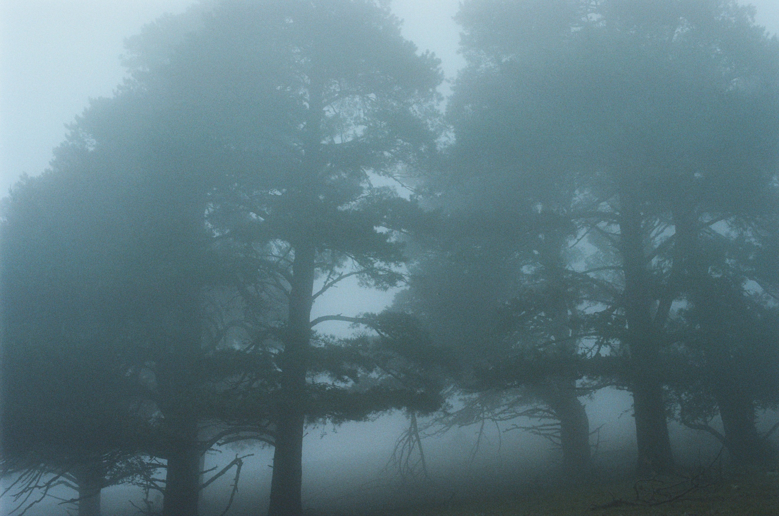 Dig it // ukraine, crimea. EVER EXPOSED