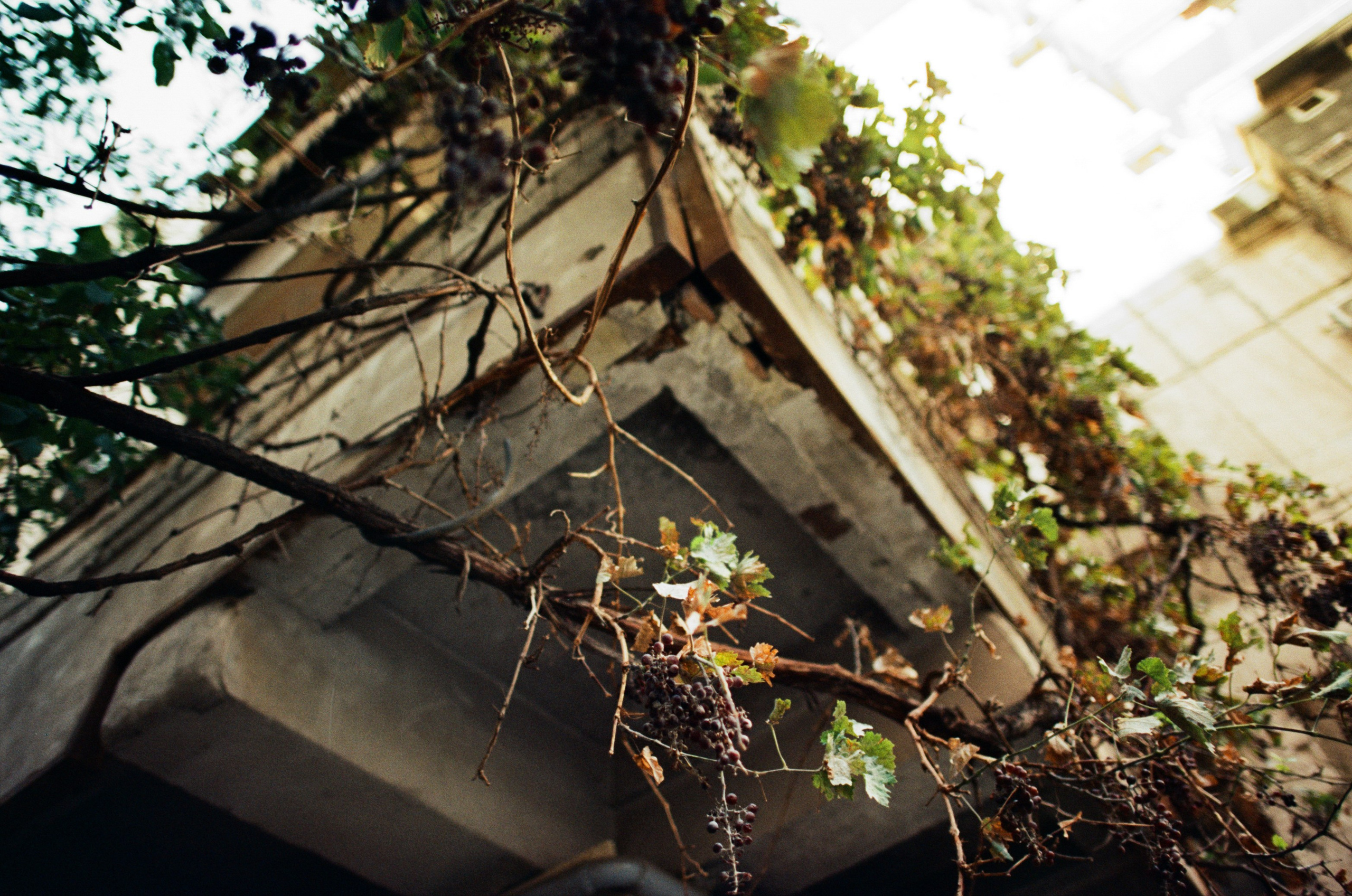 Darkest lullaby // armenia, yerevan III. EVER EXPOSED