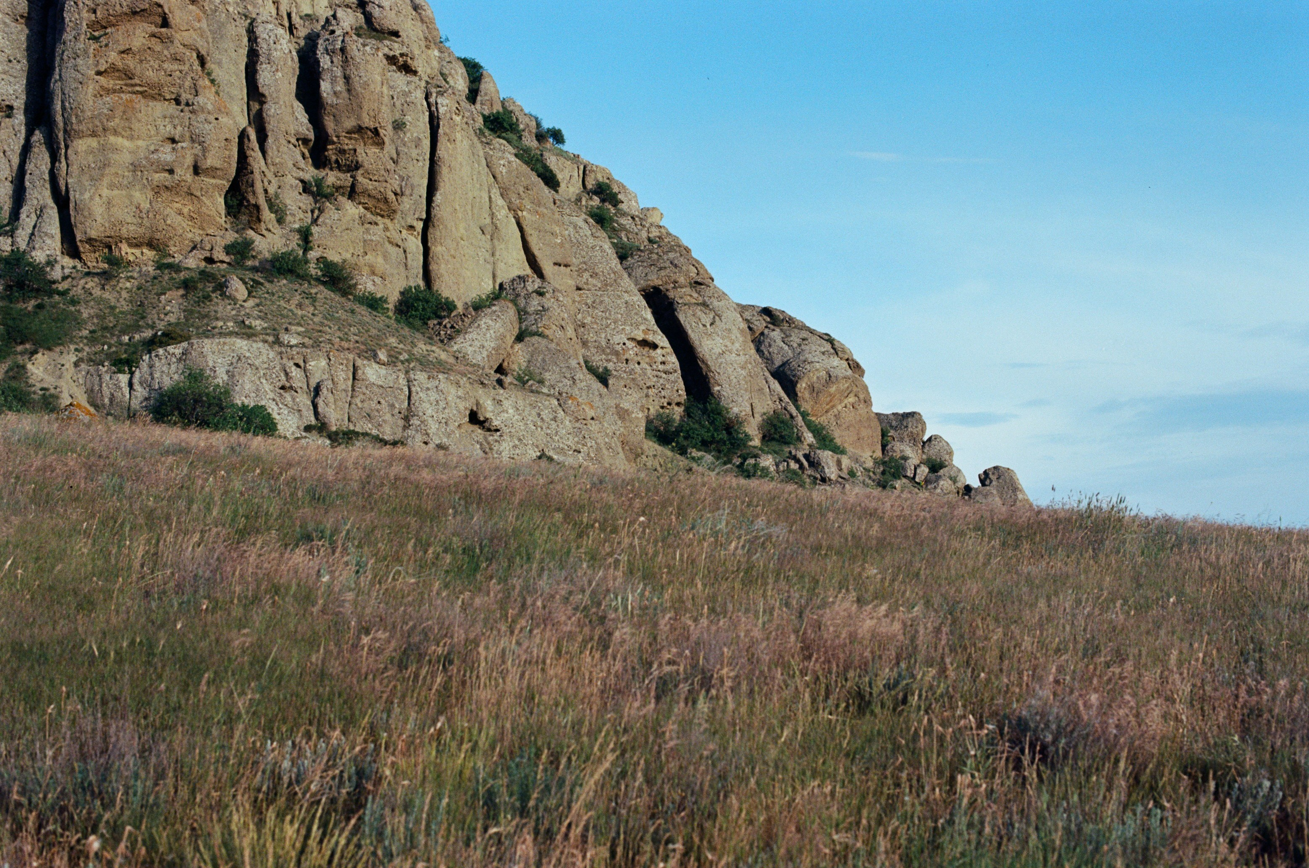 Kool-aid // ukraine, crimea IV. EVER EXPOSED