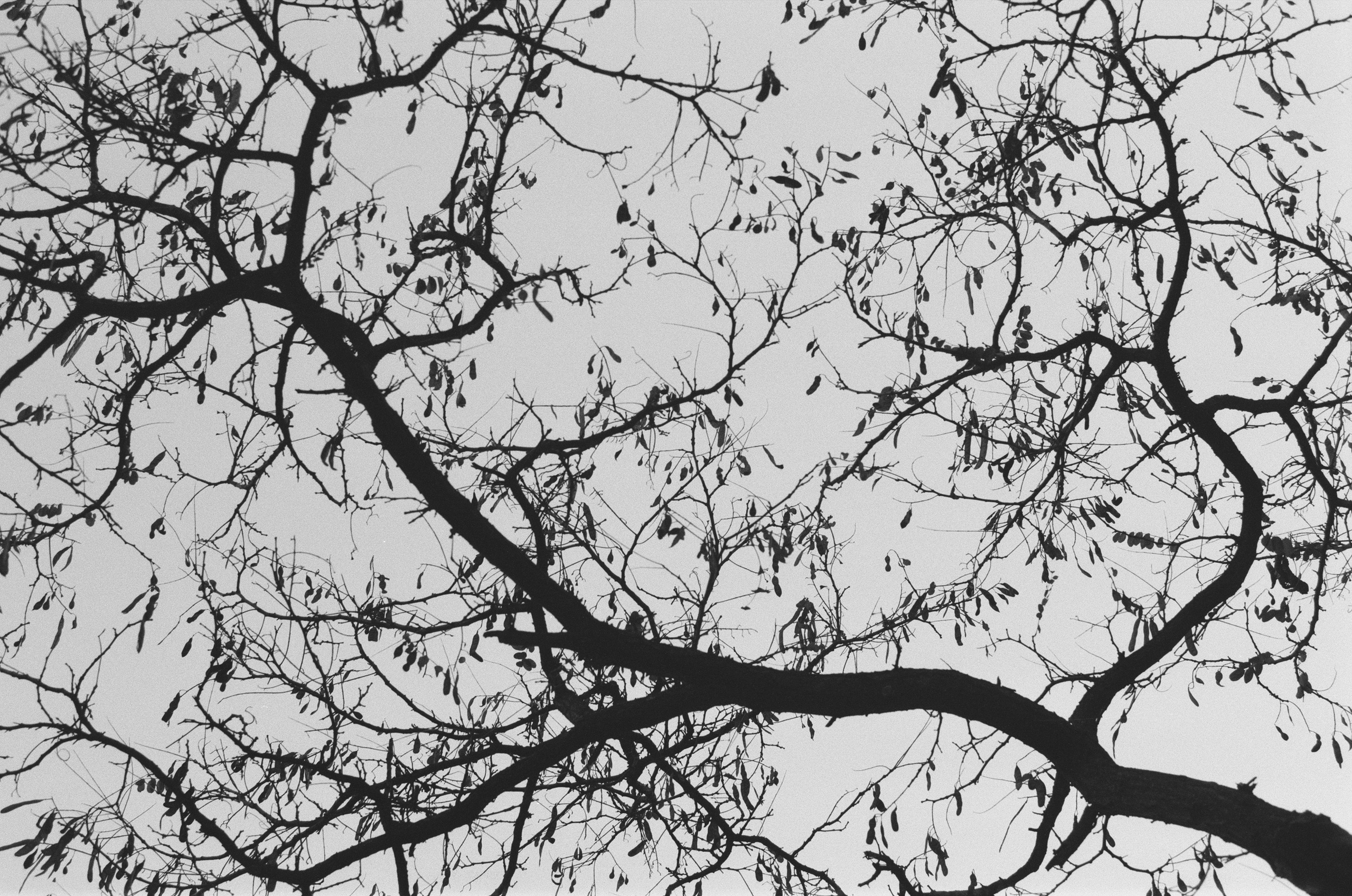 I o u // ukraine, crimea II. EVER EXPOSED