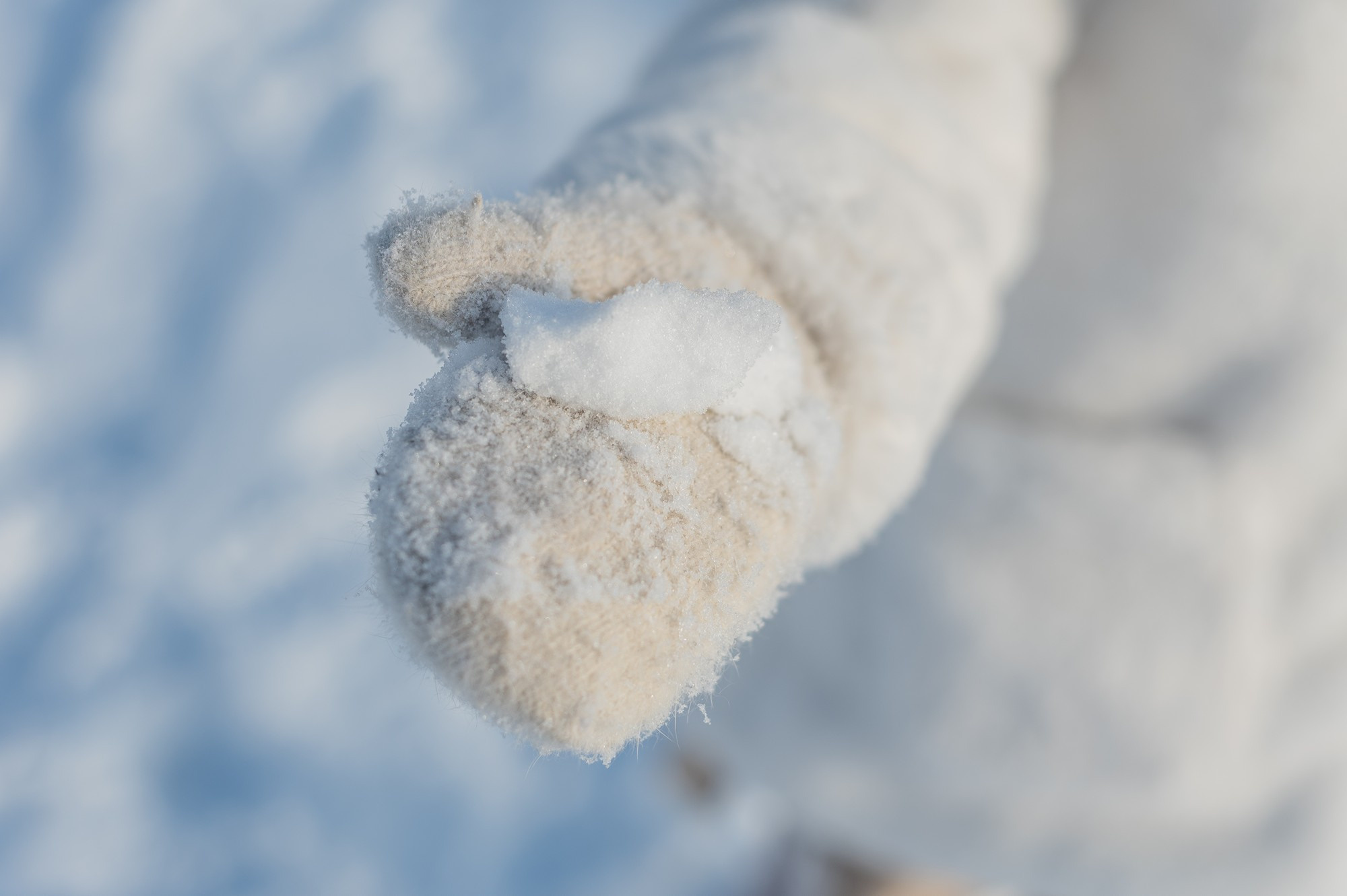 2021 Зимнняя фотопрогулка с детьми. Семейный, портретный, репортажный фотограф lifestyle в Москве и Кирове