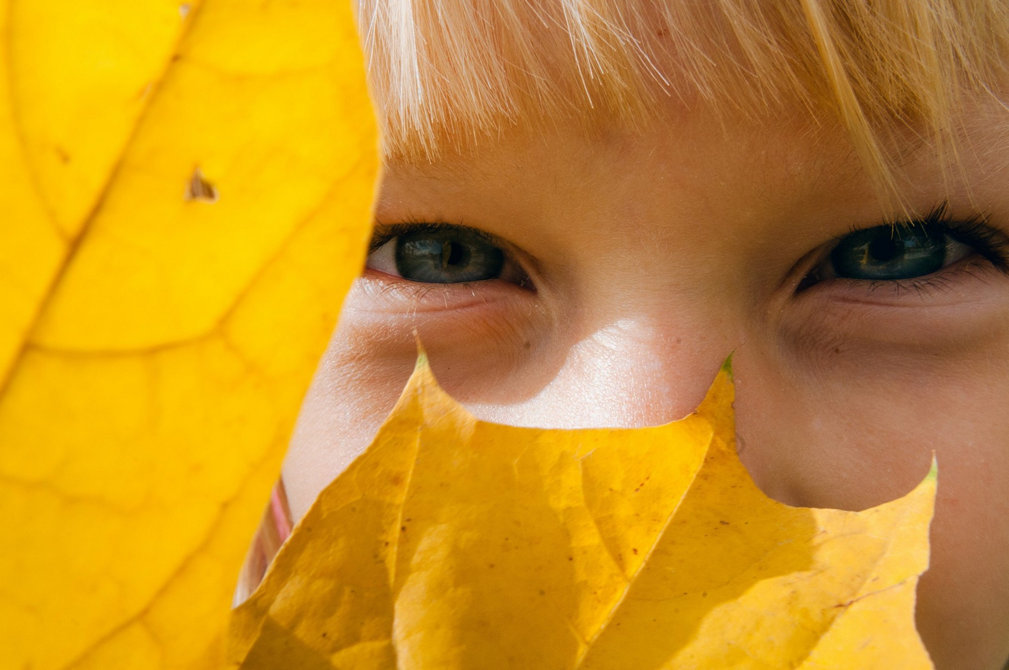 2020 Дети и семьи. Семейный, портретный, репортажный фотограф lifestyle в Москве и Кирове