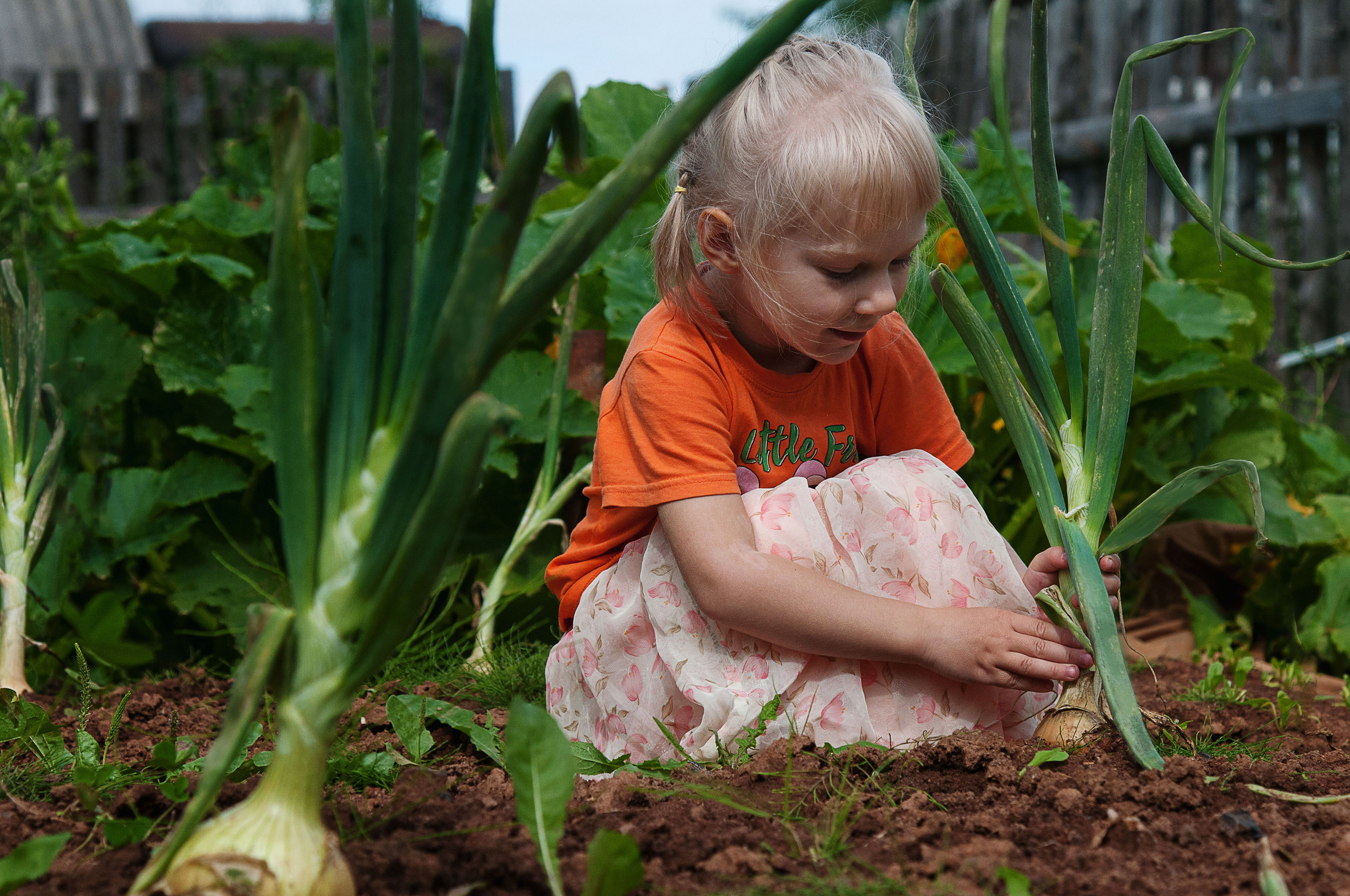 2019 Детские портреты. Семейный, портретный, репортажный фотограф lifestyle в Москве и Кирове