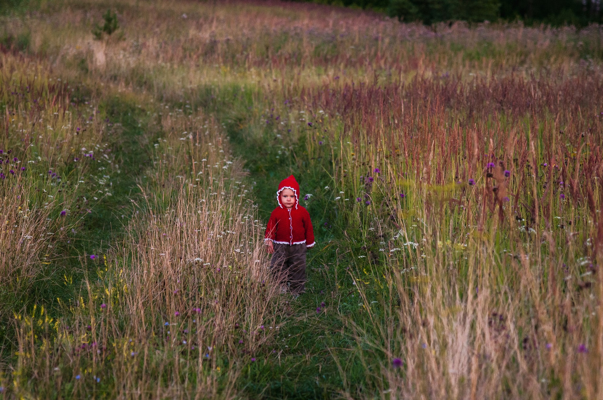 2020 Дети и семьи. Семейный, портретный, репортажный фотограф lifestyle в Москве и Кирове