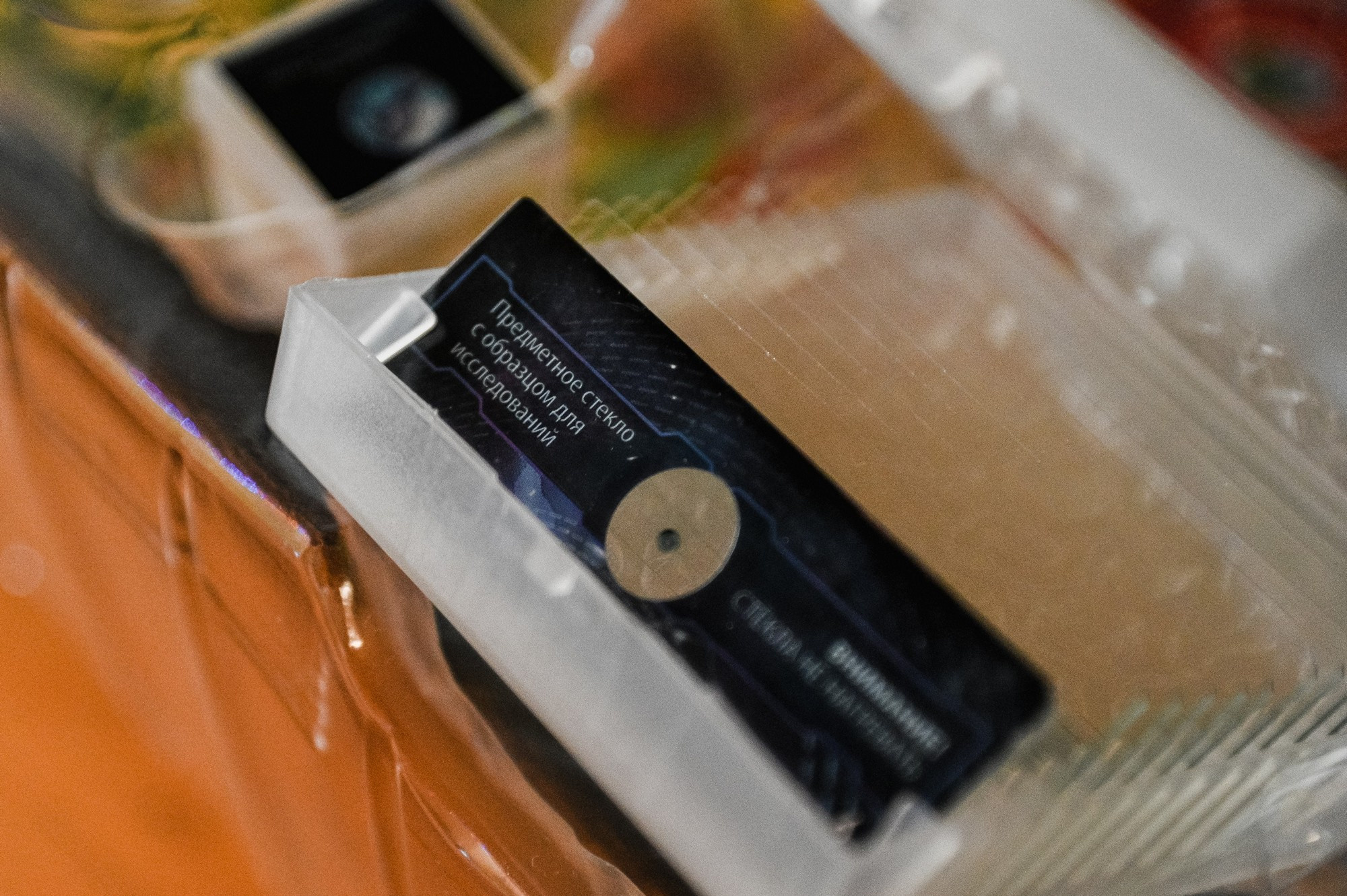 2021 Детские портреты. Семейный, портретный, репортажный фотограф lifestyle в Москве и Кирове