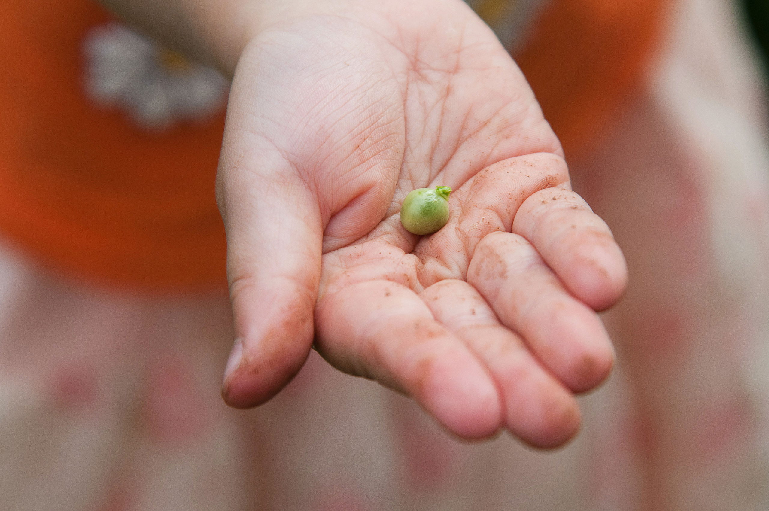 2019 Детские портреты. Семейный, портретный, репортажный фотограф lifestyle в Москве и Кирове