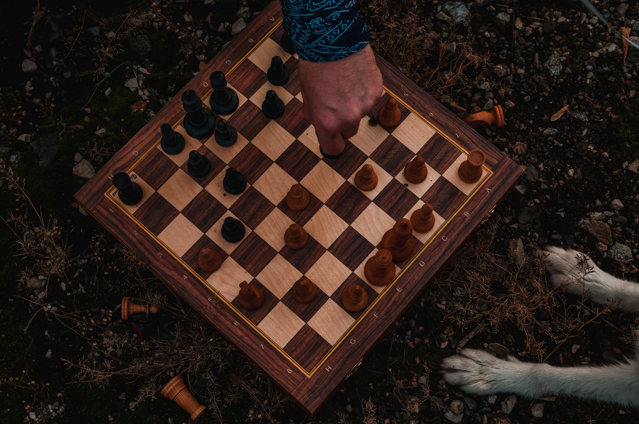 2019 Портреты. Семейный, портретный, репортажный фотограф lifestyle в Москве и Кирове