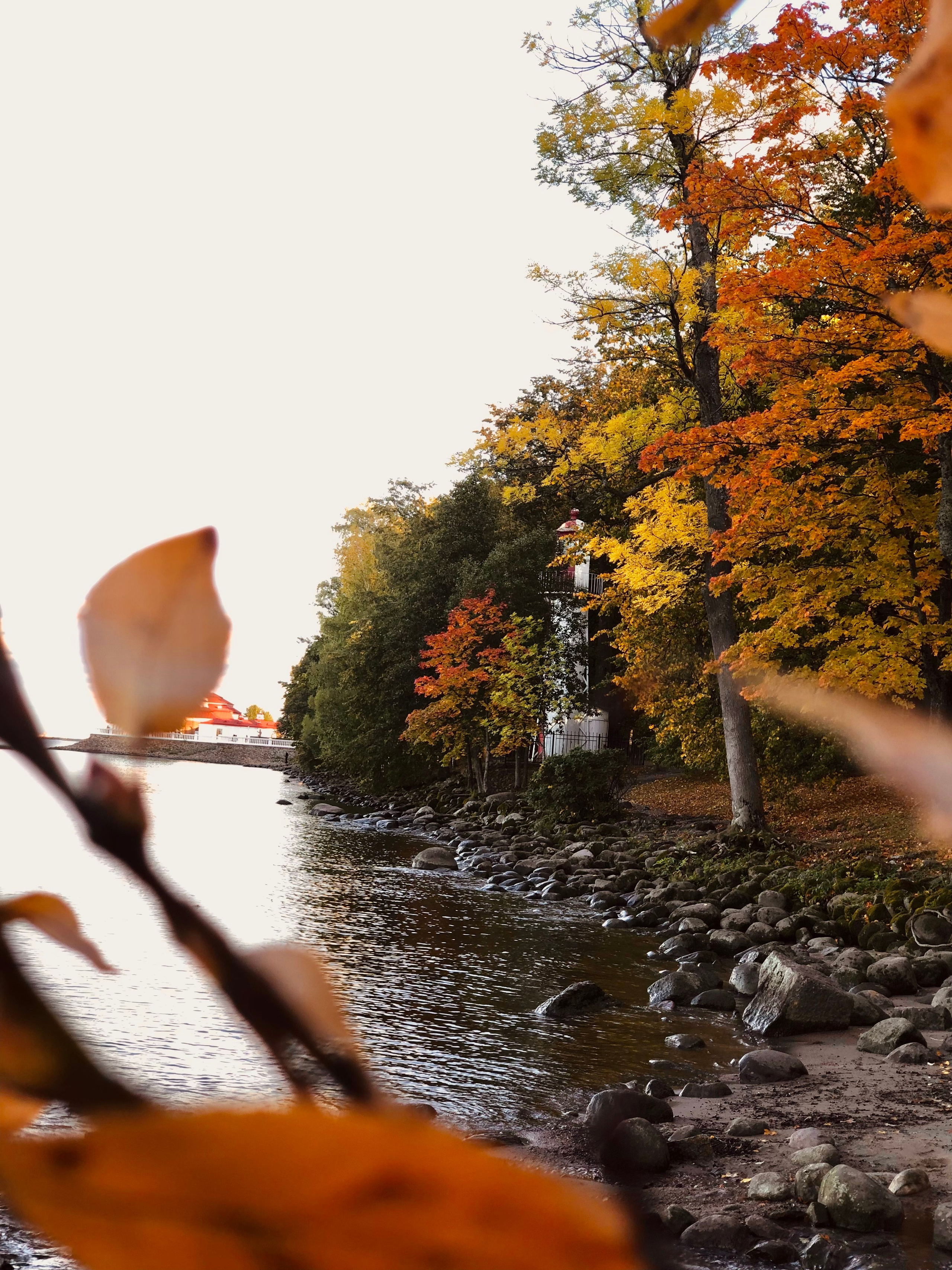 Сентябрь. Семейный, Свадебный фотограф СПБ Питер— Романова Екатерина