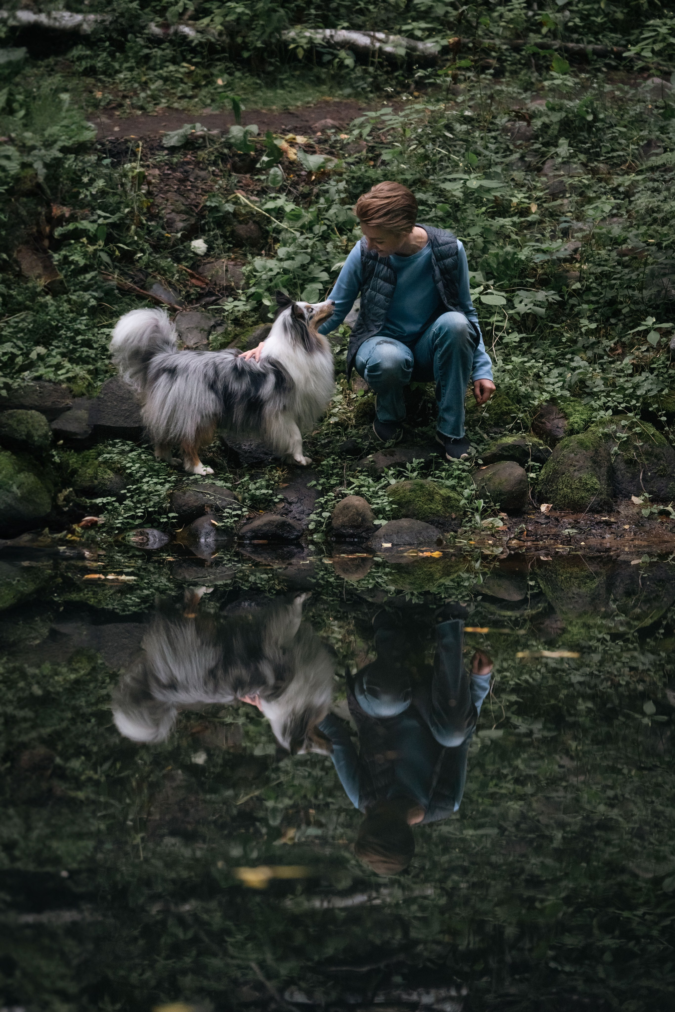 Лесная Элис. Фотограф анималист