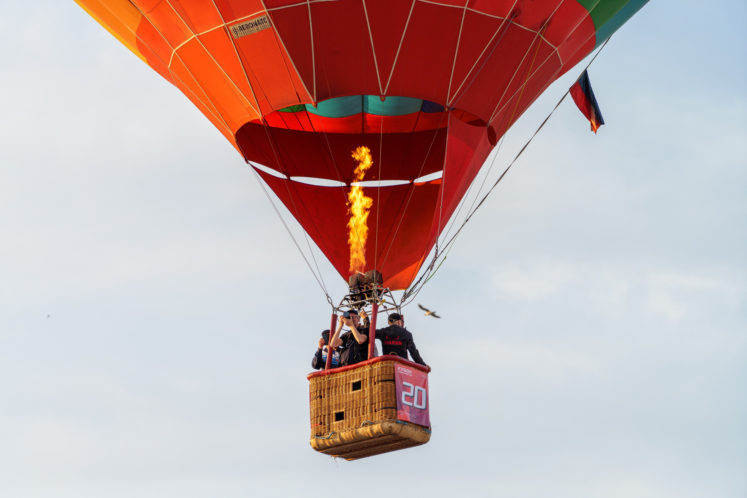 Фиеста Аэростатов. Sunnyman