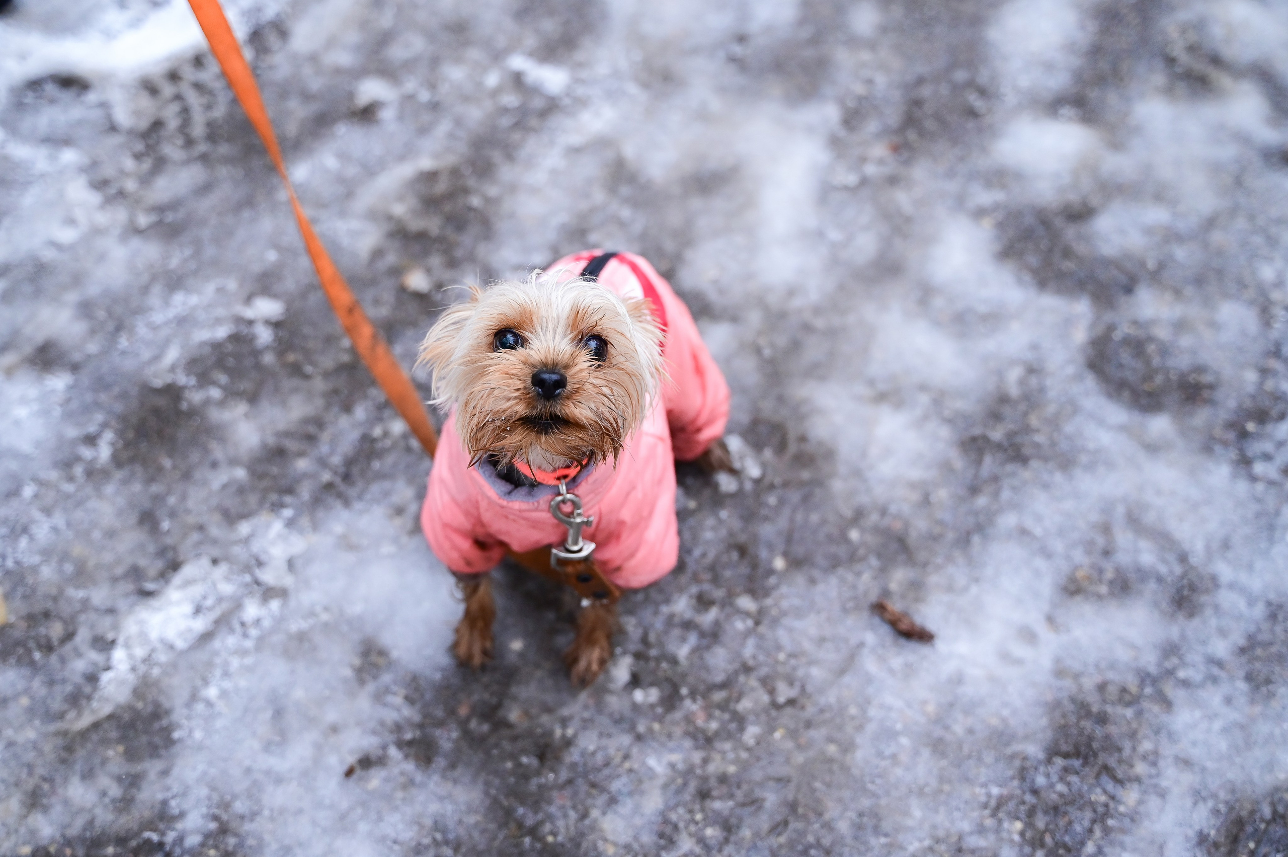 Sat9am5km Кузьминки (28.10.23). Фотограф | Ирина Гамзинова | Москва