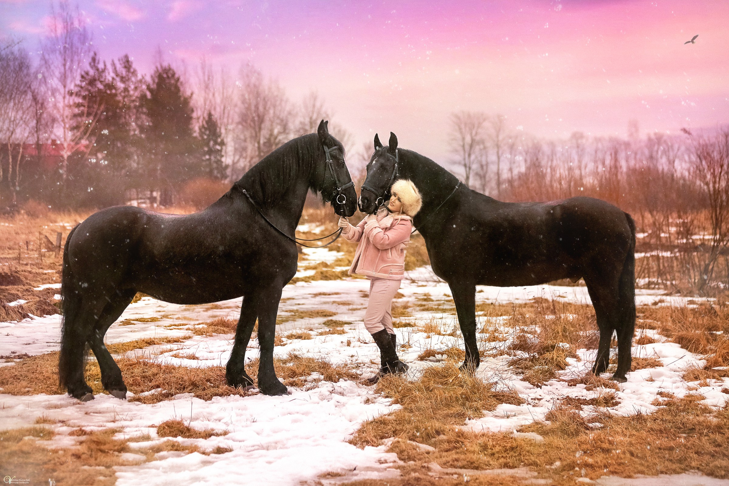 Фотосессии с лошадьми зимой. Фотограф женский и мужской портрет Санкт-Петербург
