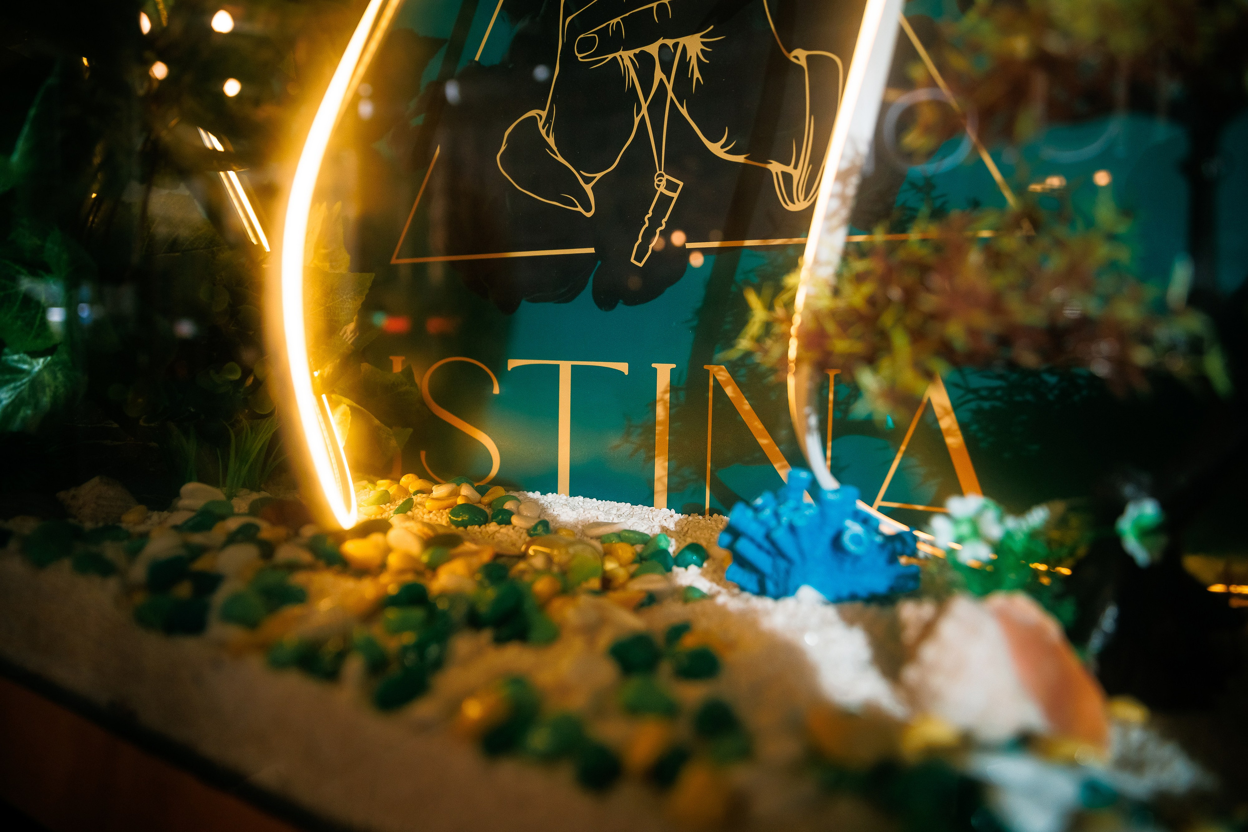 День Рождения «Istina Lounge»