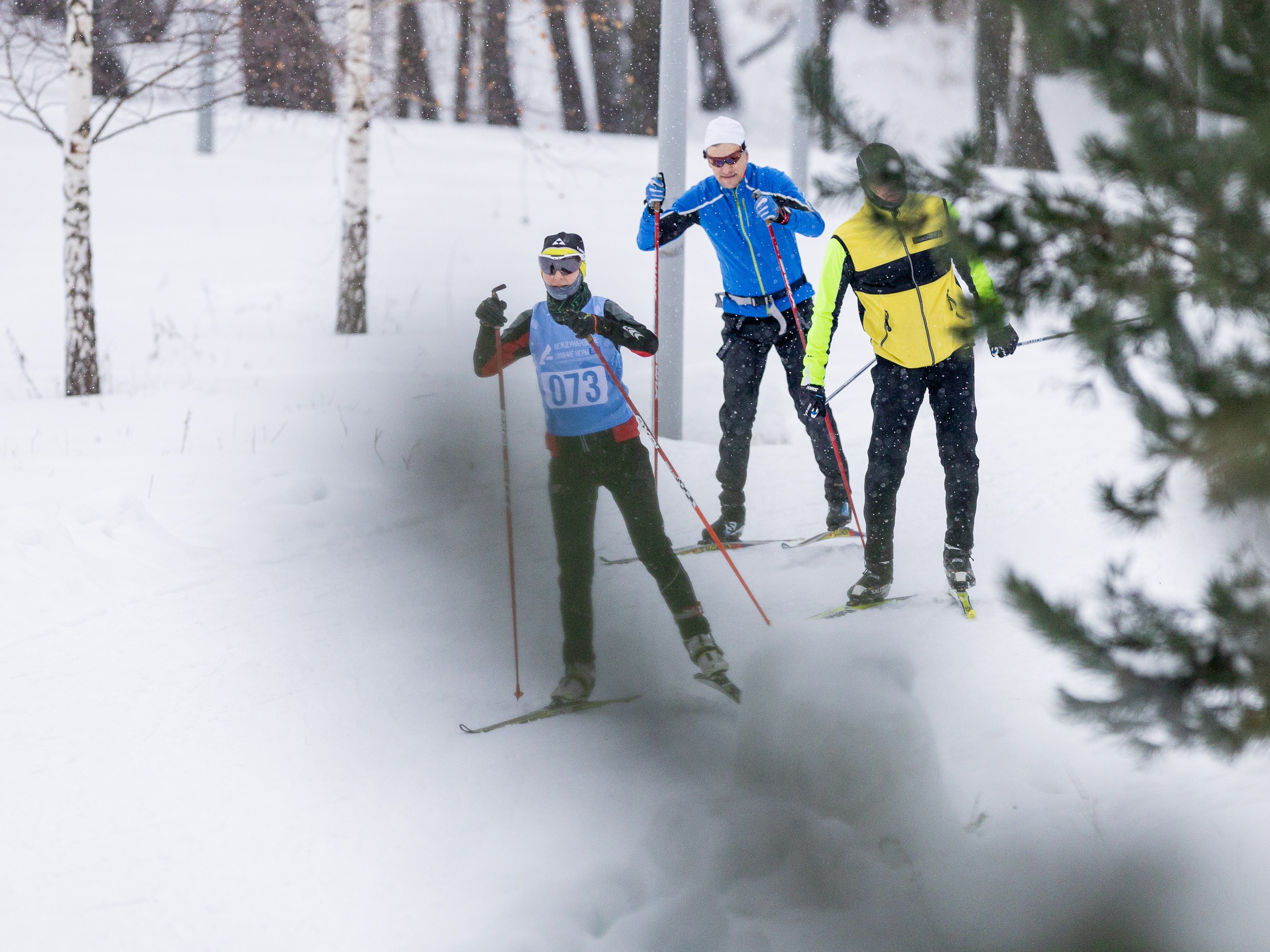 Лыжник движется по заснеженной лесной трассе, окруженной деревьями.