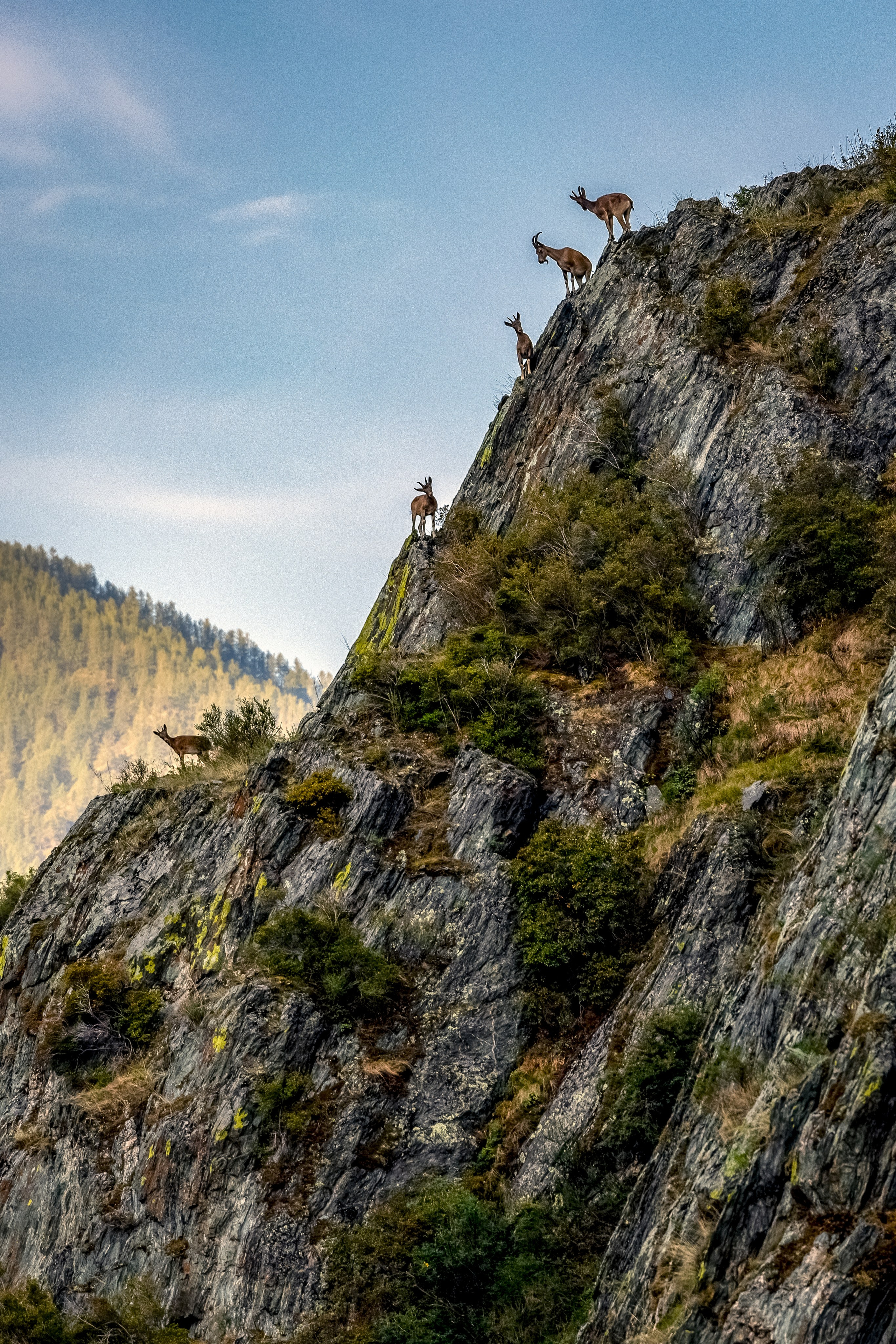 Девичник Саяны. Анна Баженовская Женский фотограф Москва