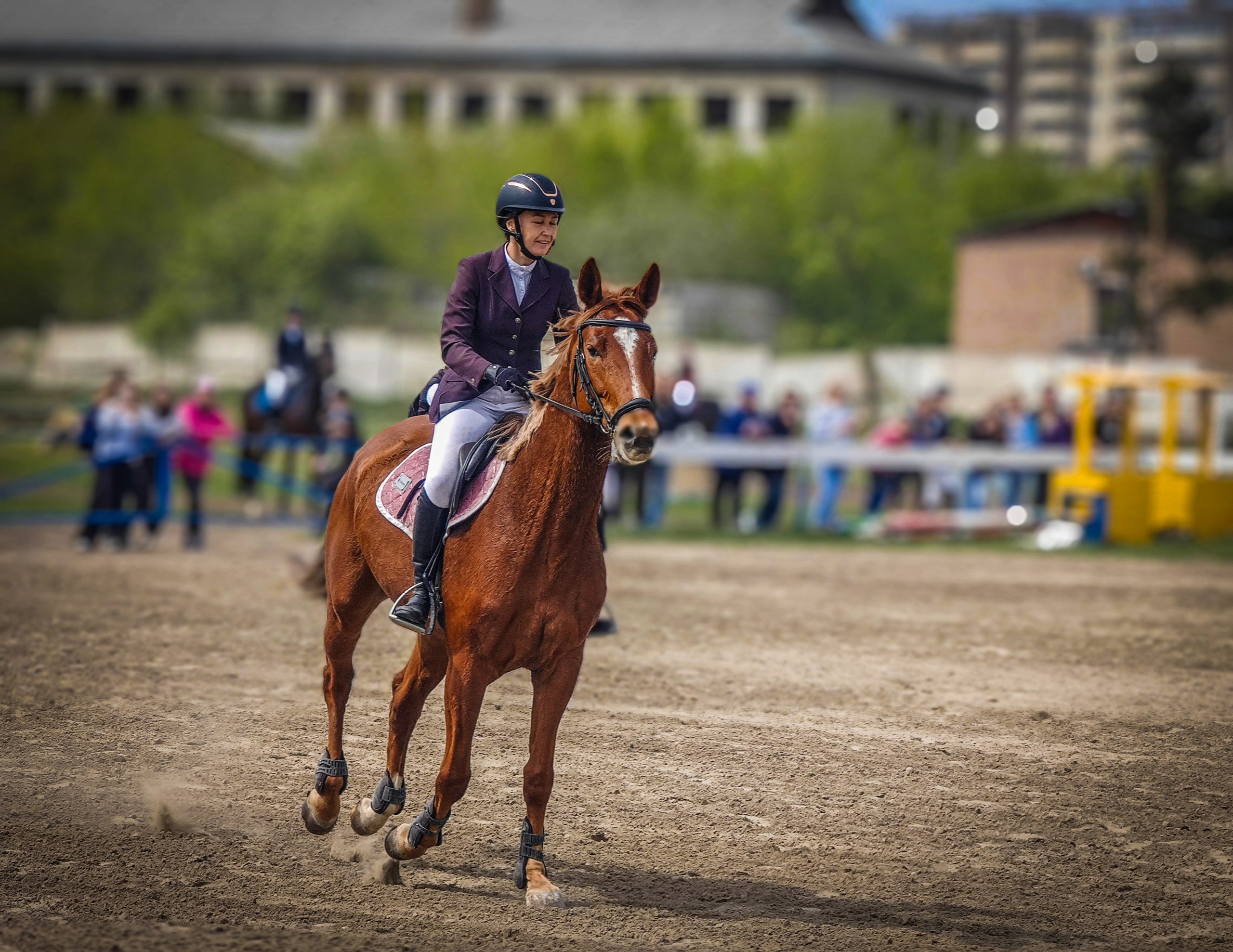 Красноярский ипподром. Открытие сезона 2025. Игорь Урывский. Фотограф Красноярск
