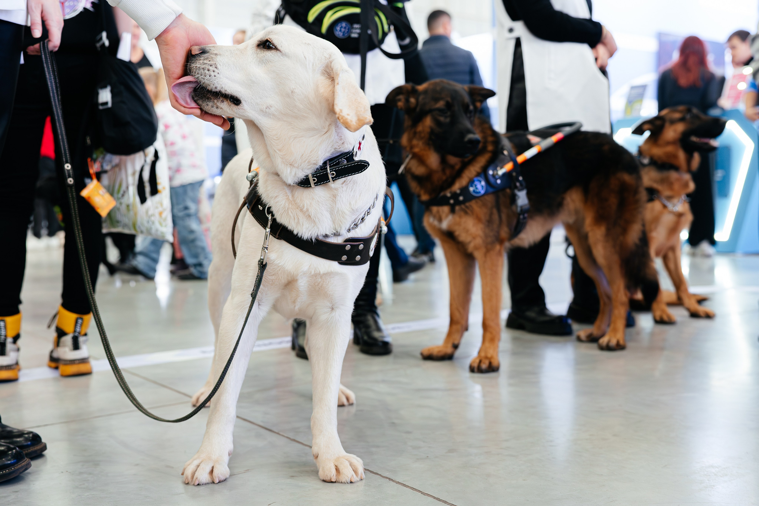 Абилимпикс 2025. Коммерческий фотограф в Санкт-Петербурге Анна Кобзарь
