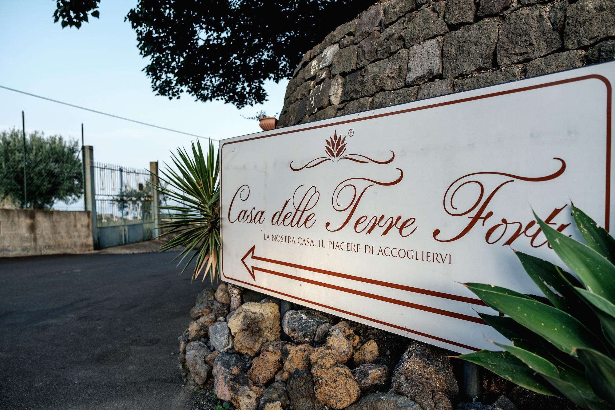 Mr &Mrs Vinci. Свадебный и семейный фотограф