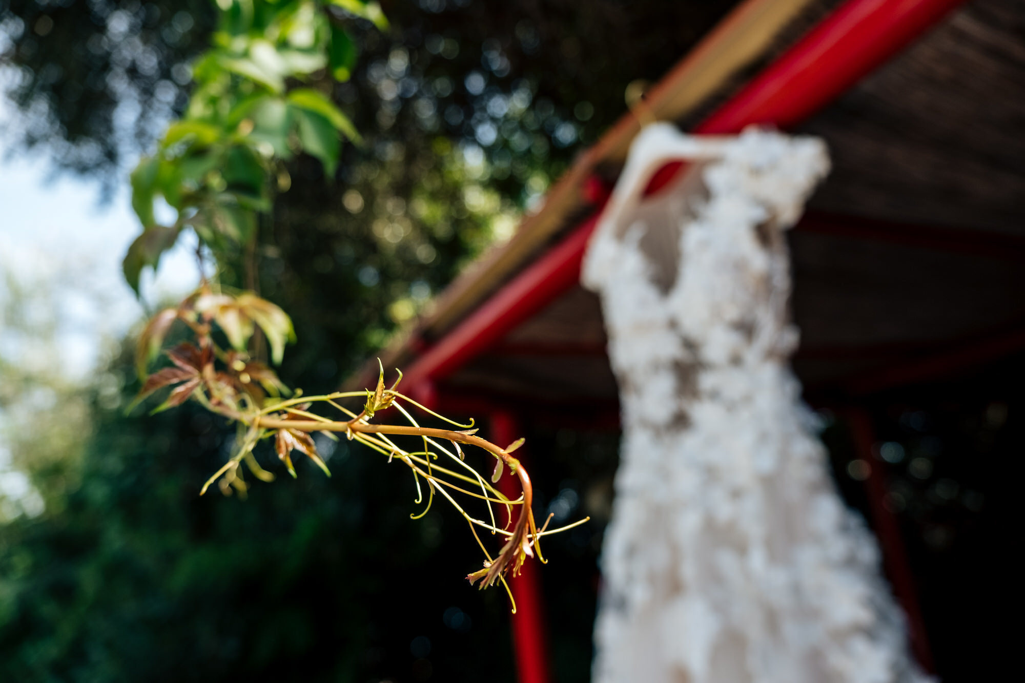 Mr &Mrs Vinci. Свадебный и семейный фотограф