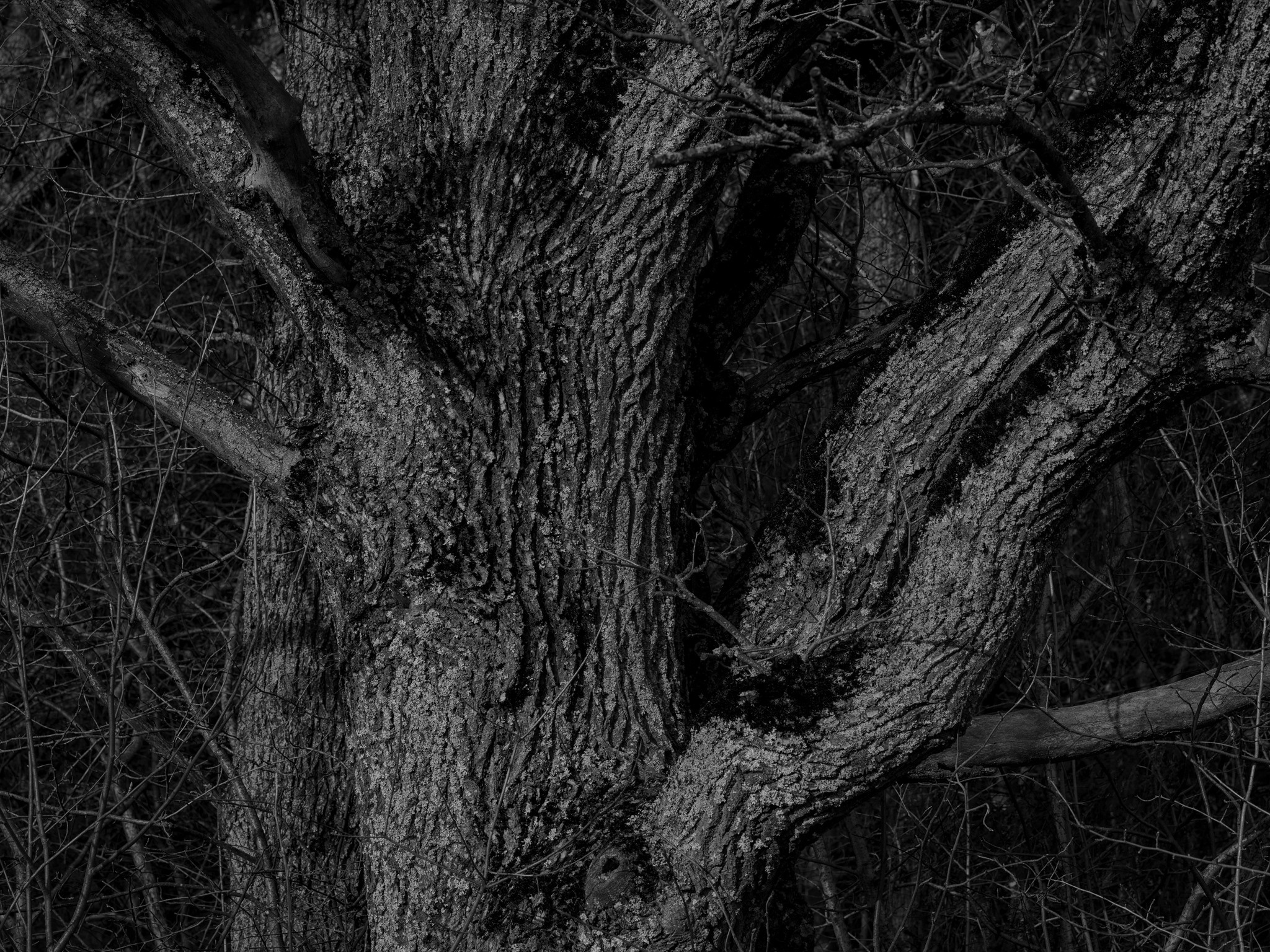 Пейзаж, природа. «dbstudio» — фотосъемка еды и продуктов питания